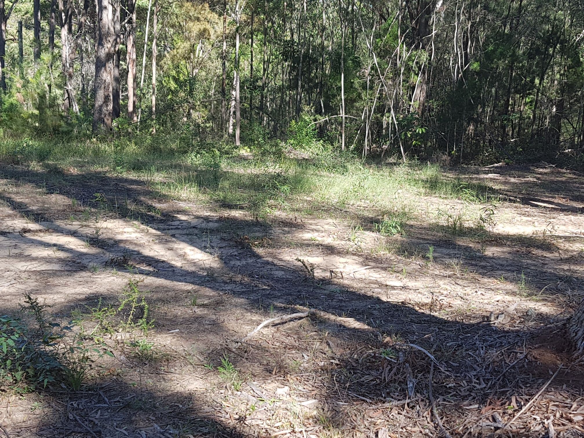 26 Dempsey Street, Russell Island QLD 4184, Russell Island - Thumbnail 3