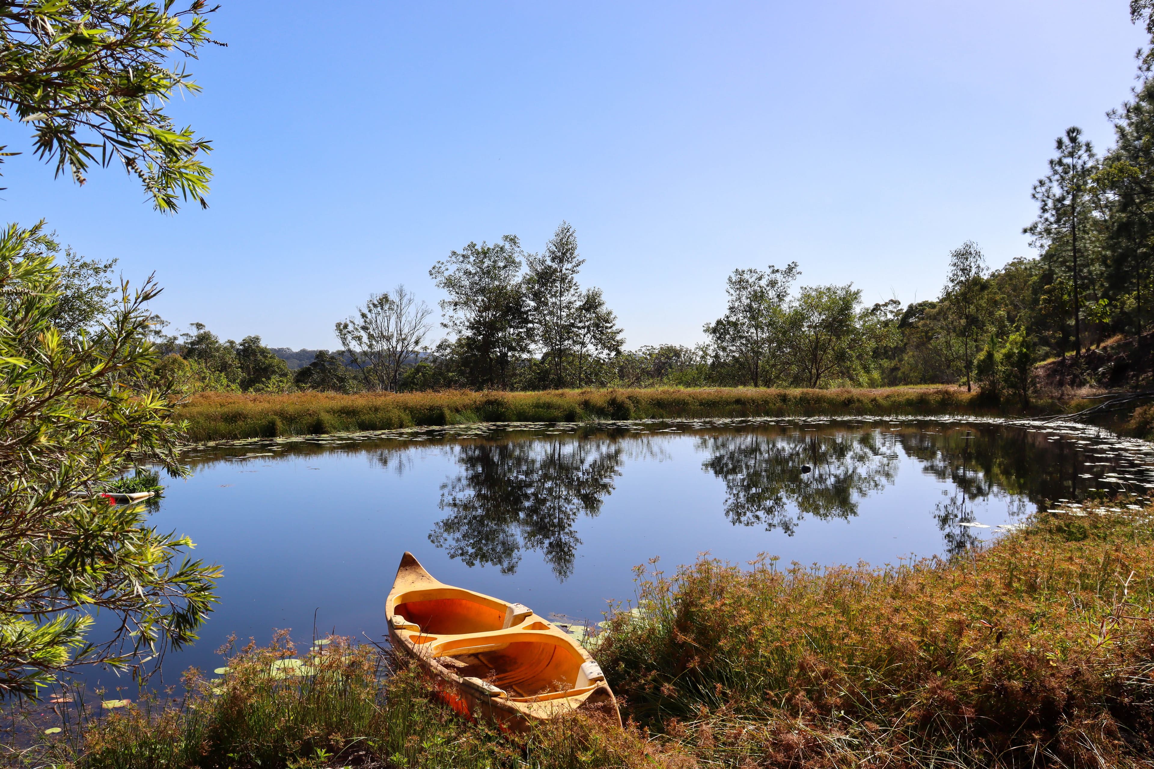 273 Hunchy Road, Hunchy QLD 4555, Hunchy - Image 1