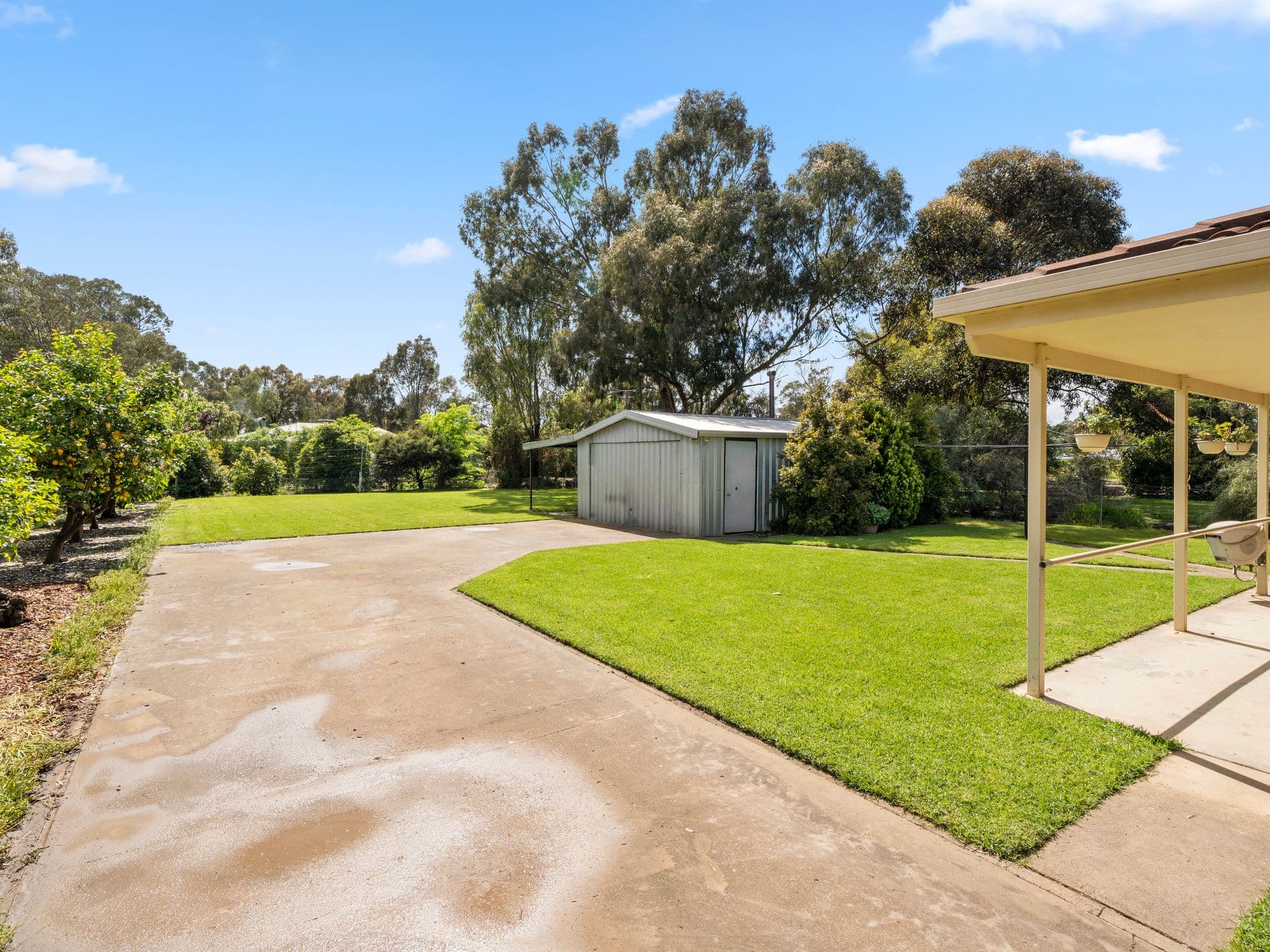 10 Withers Street, Longwood VIC 3665, Longwood - Thumbnail 8