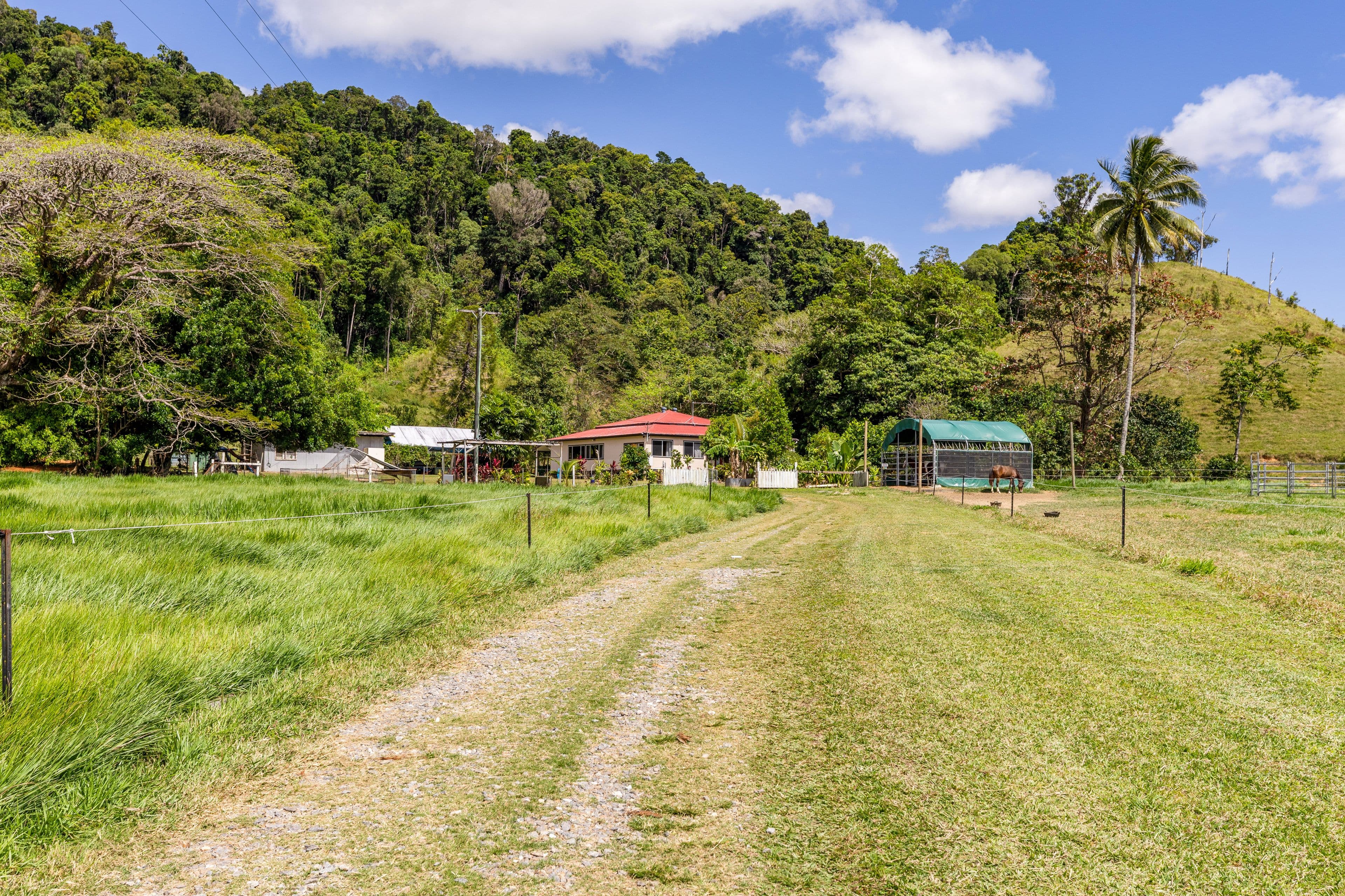 3391 Mossman Daintree Road, Daintree QLD 4873, Daintree - Thumbnail 3