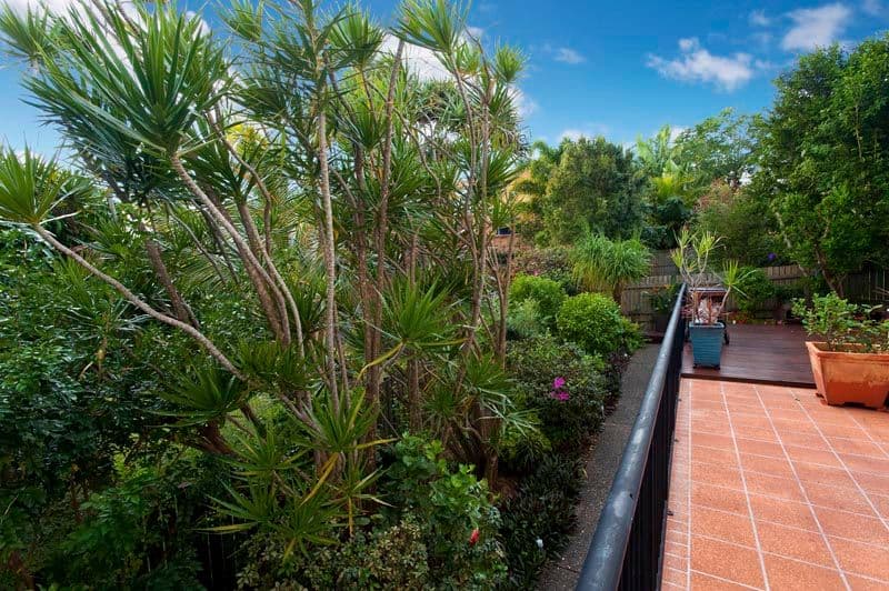 Unit 1 12-14 Lindsay Street, ALEXANDRA HEADLAND QLD 4572, Alexandra Headland - Thumbnail 6