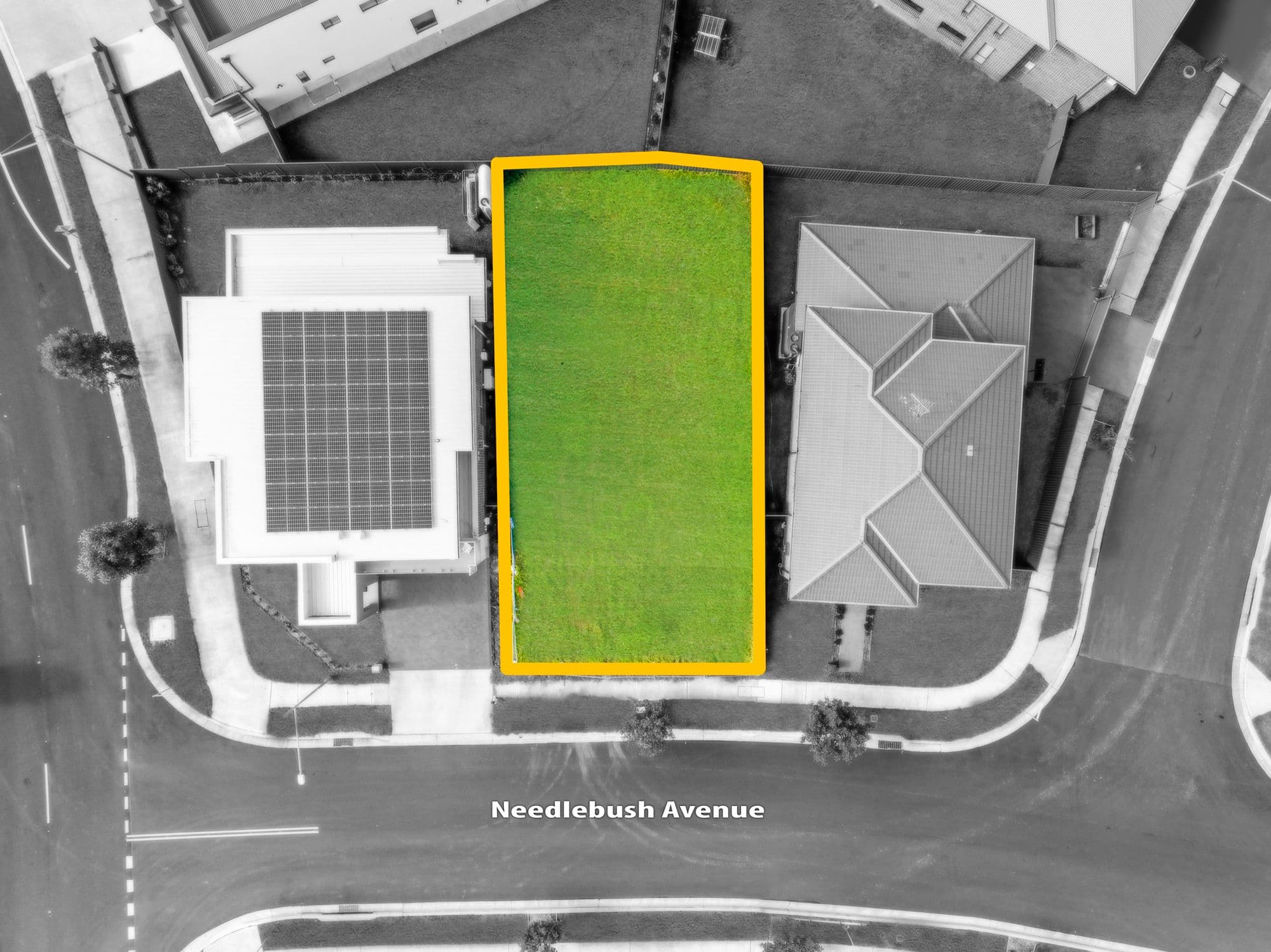 3 Needlebush Avenue, Denham Court NSW 2565, Denham Court - Image 1