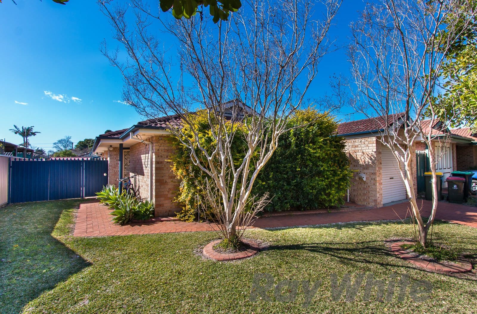 13 Mccann Court, Carrington - Image 1