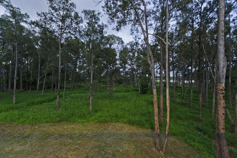 15 Waverley Park Close, OXENFORD QLD 4210, Oxenford - Thumbnail 6