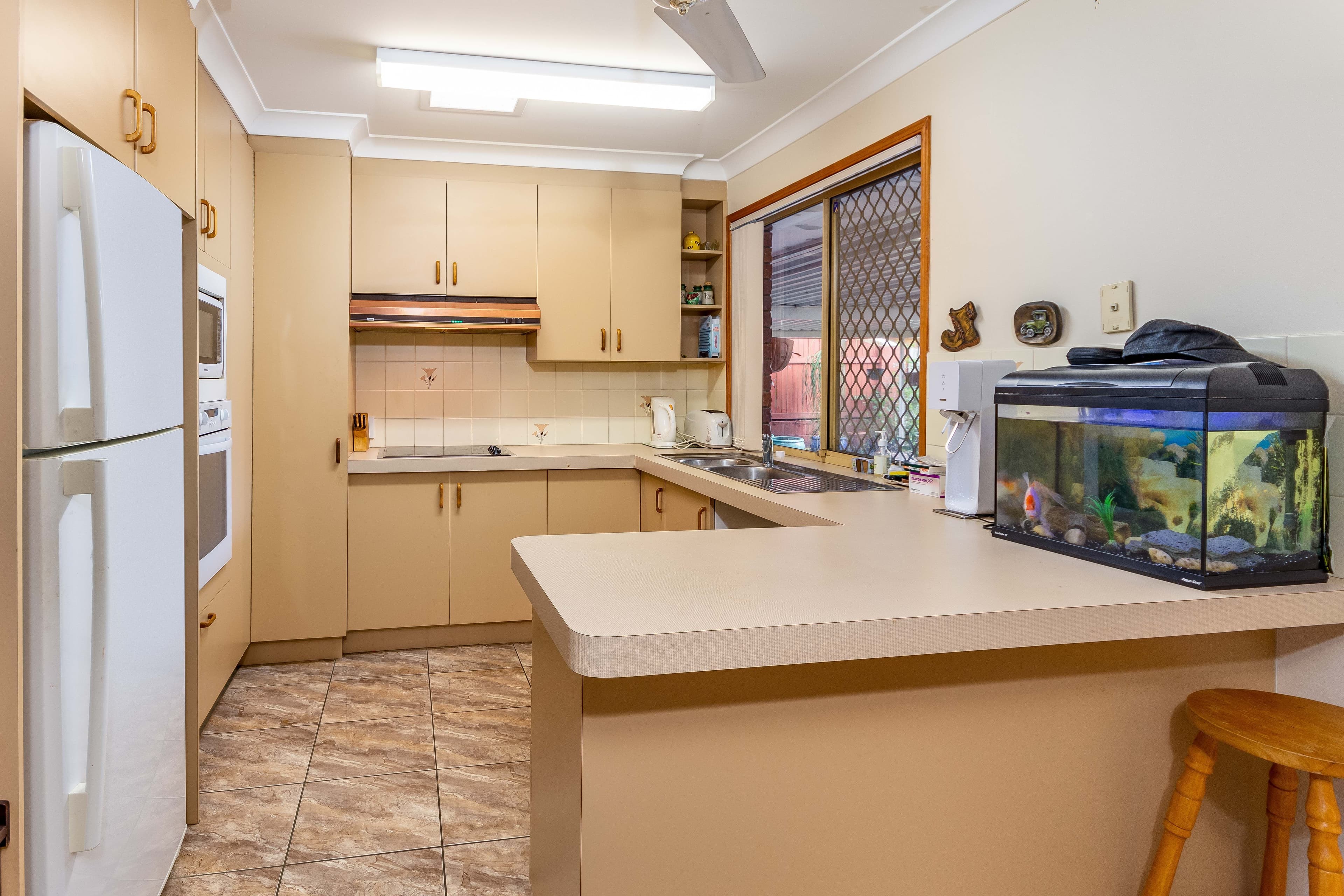 56 Nemira Street, Carseldine QLD 4034, Carseldine - Thumbnail 2