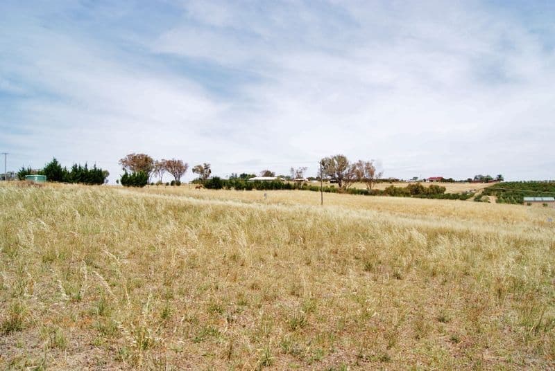 30 Jasprizza Lane, YOUNG NSW 2594, Young - Thumbnail 2