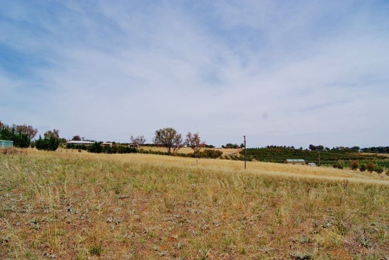 30 Jasprizza Lane, YOUNG NSW 2594, Young - Thumbnail 5