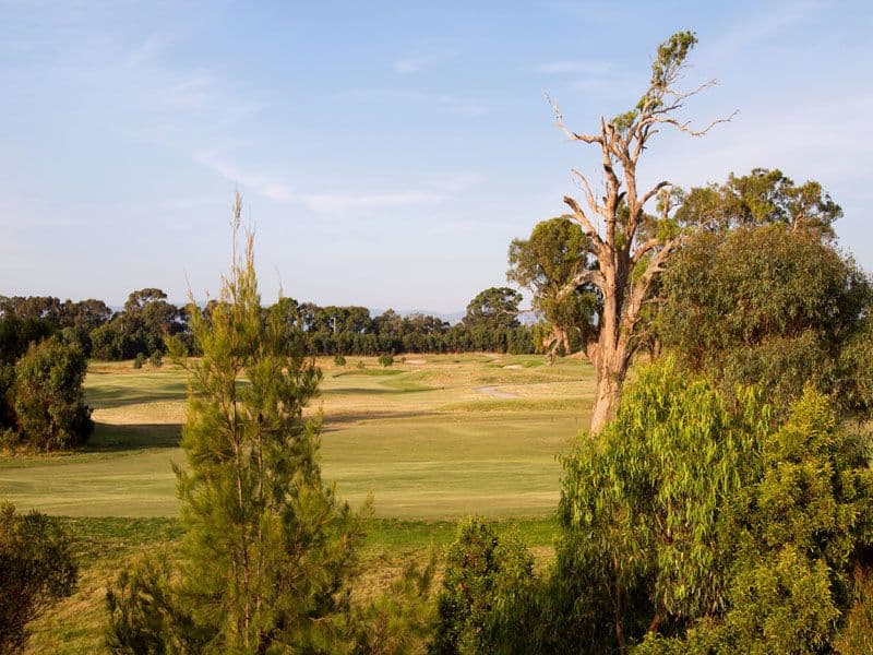 Lot 1625 Sandhurst Boulevard, SANDHURST VIC 3977, Sandhurst - Thumbnail 6