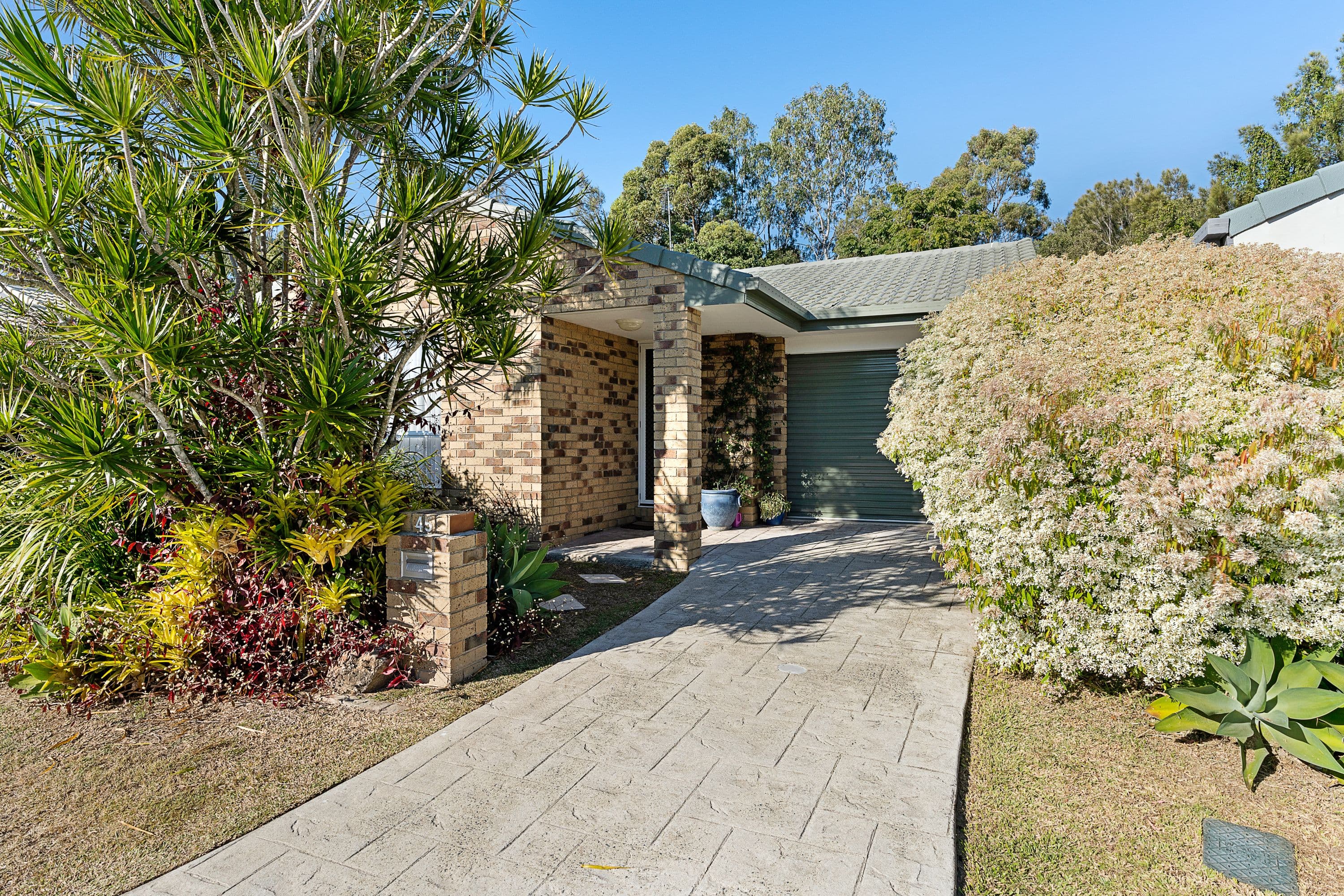 45 Numbat Court West, Coombabah QLD 4216, Coombabah - Thumbnail 6