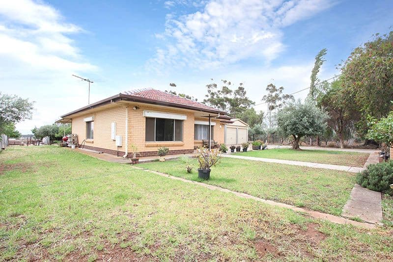 65 Campania Road South, Kudla SA 5115, Kudla - Thumbnail 3