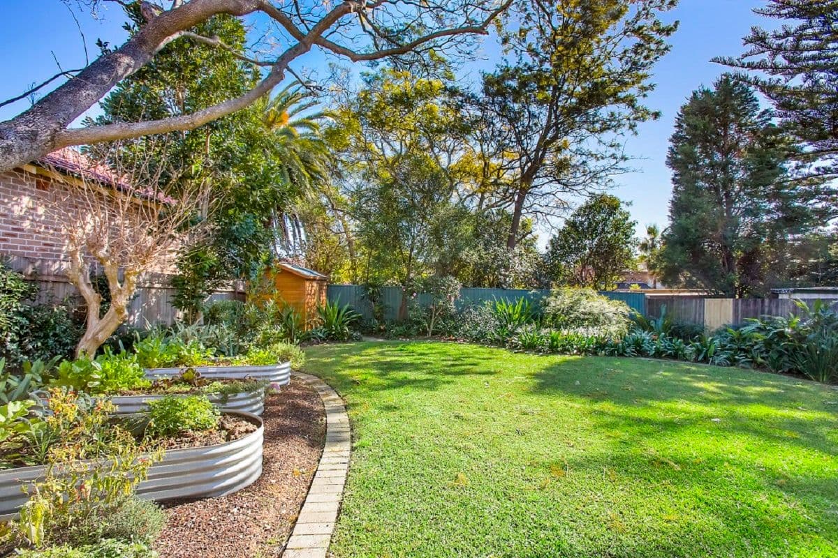 44 Northcote Street, Haberfield NSW 2045, Haberfield - Thumbnail 3