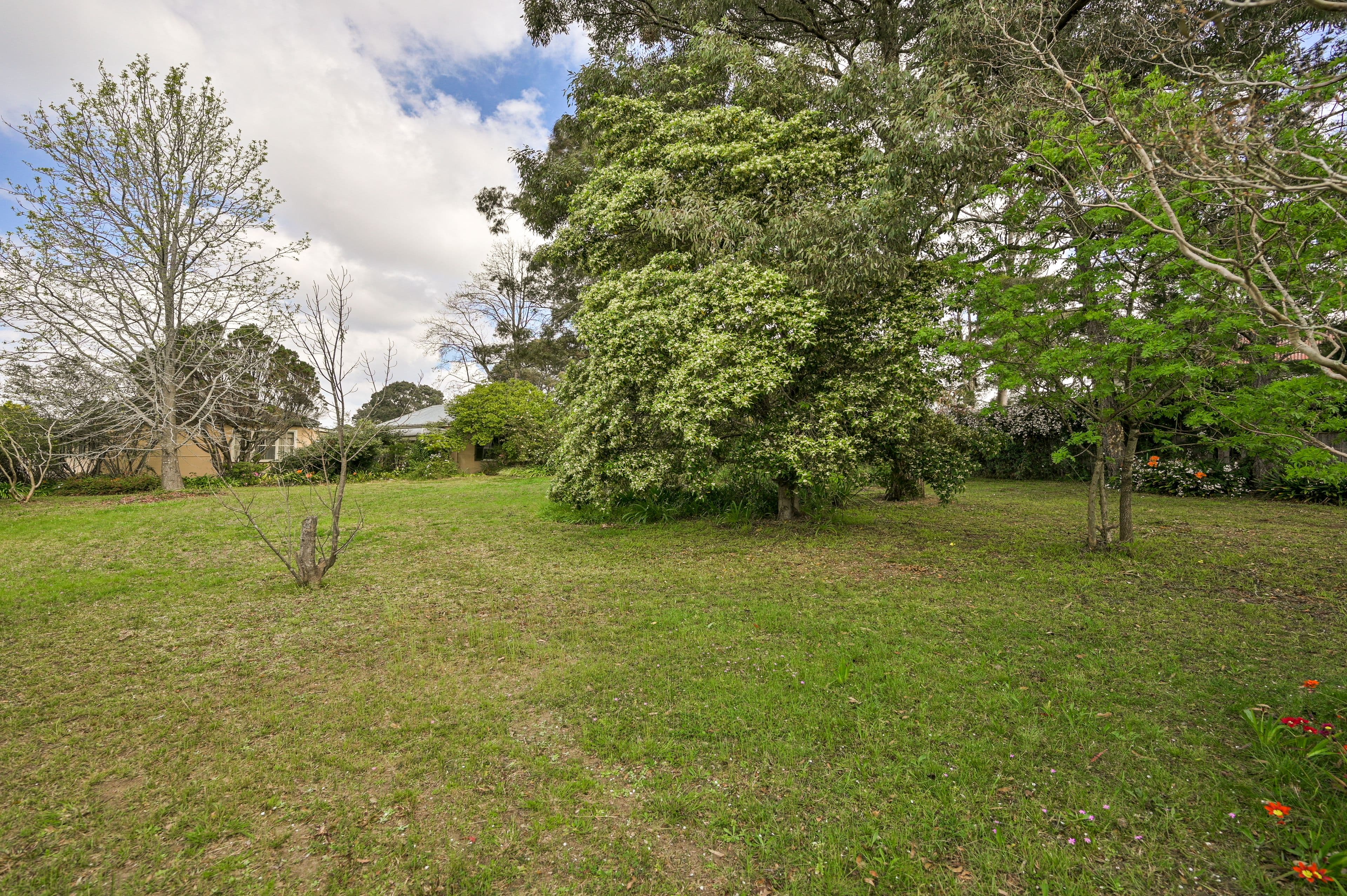 31 Pitt Street, Tahmoor NSW 2573, Tahmoor - Thumbnail 3