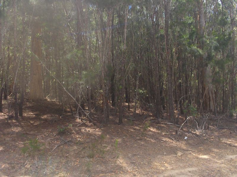 17  Emerald Street, RUSSELL ISLAND QLD 4184, Russell Island - Thumbnail 2
