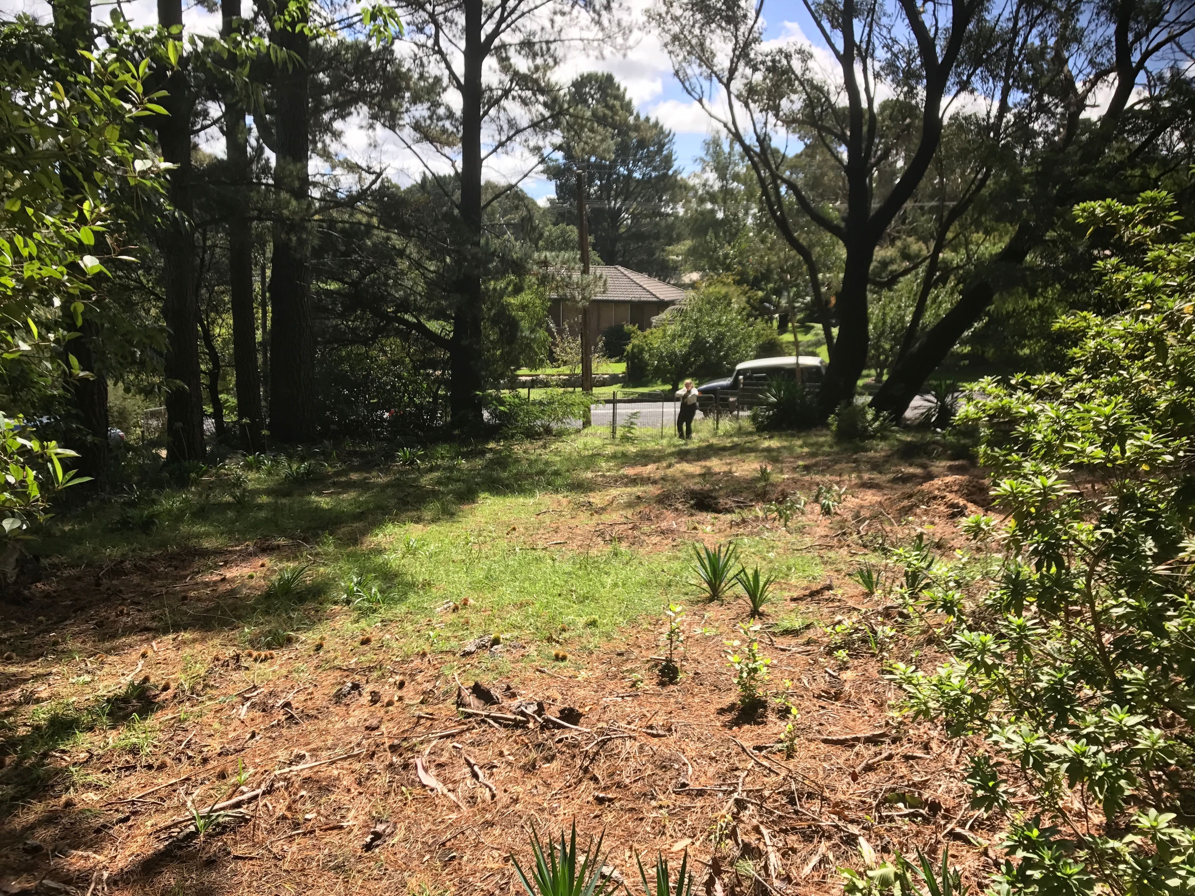 4 Wombat Street, Blackheath NSW 2785, Blackheath - Thumbnail 3