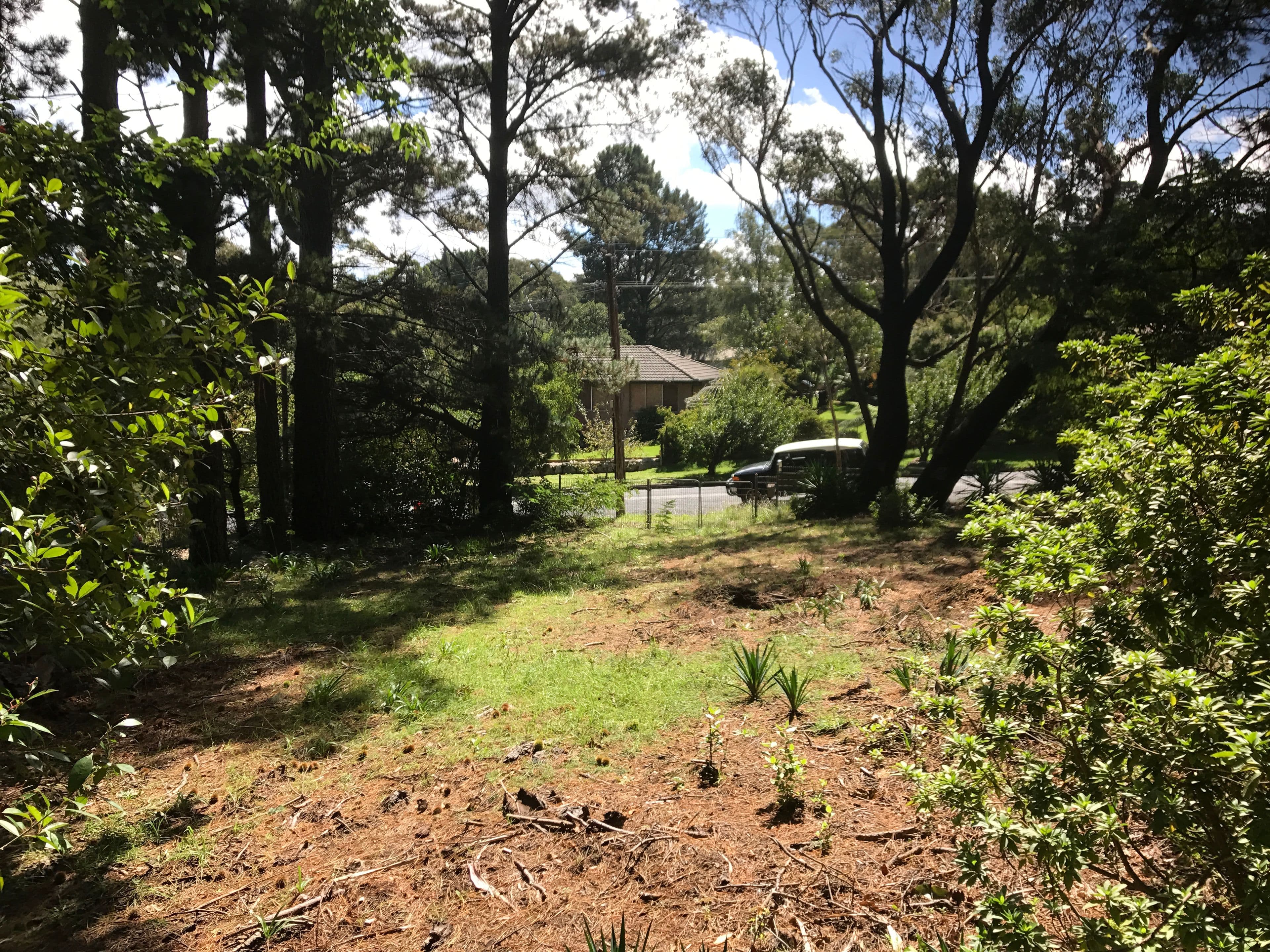 4 Wombat Street, Blackheath NSW 2785, Blackheath - Thumbnail 4