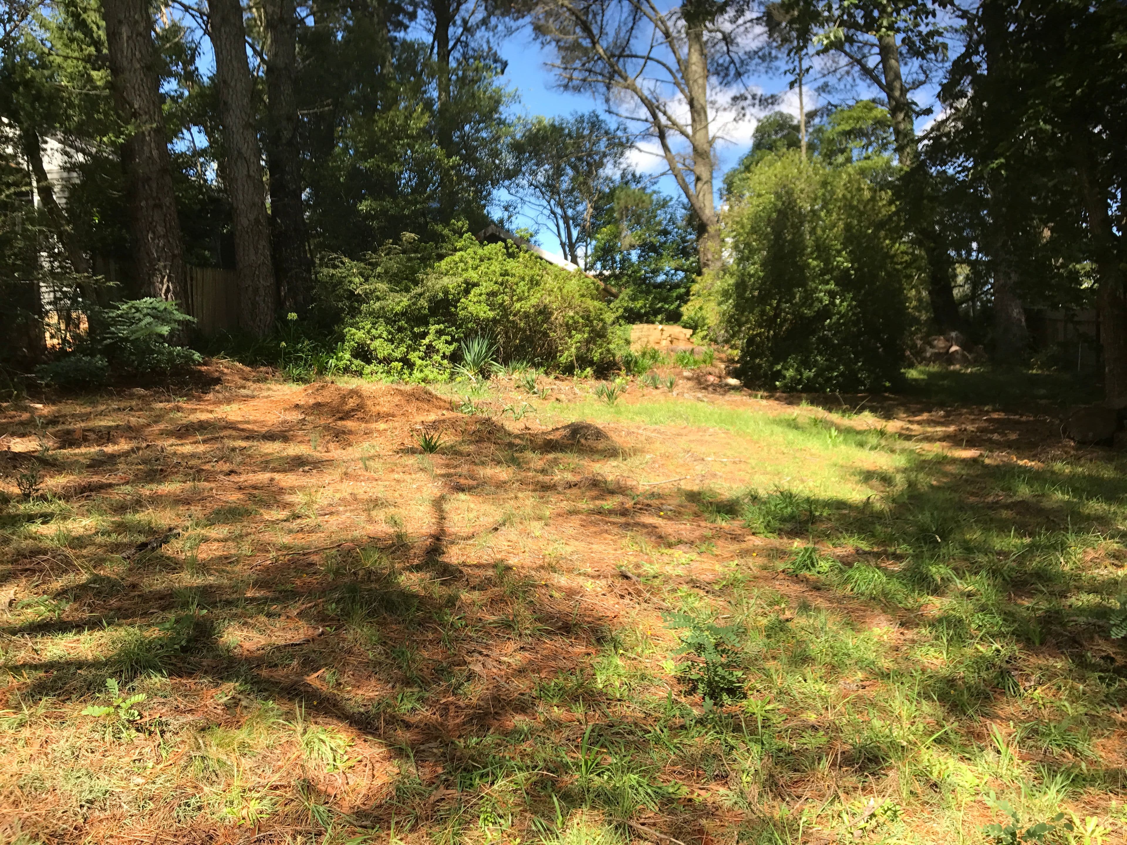 4 Wombat Street, Blackheath NSW 2785, Blackheath - Thumbnail 5