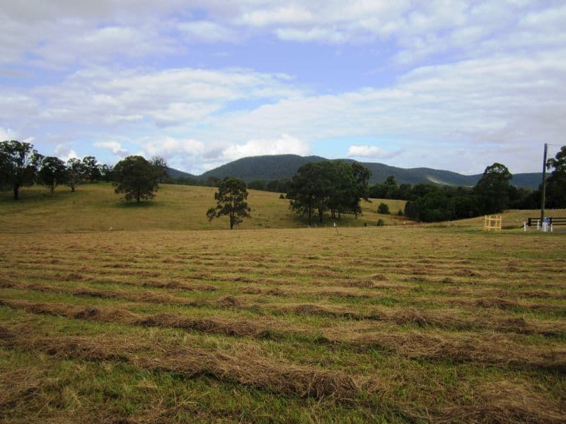 Lot 201 Riverdowns Estate, CLARENCE TOWN NSW 2321, Clarence Town - Image 1