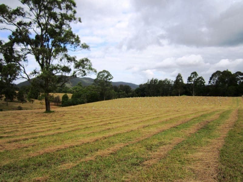 Lot 201 Riverdowns Estate, CLARENCE TOWN NSW 2321, Clarence Town - Thumbnail 4