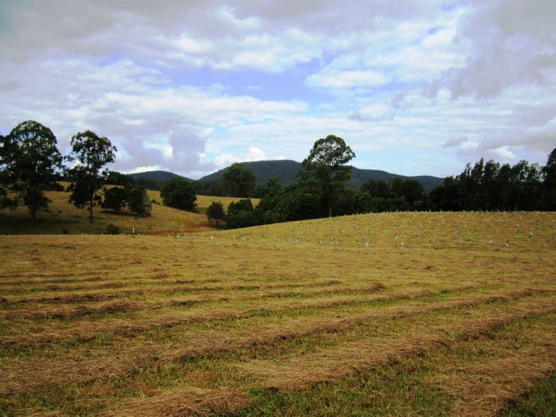 Lot 201 Riverdowns Estate, CLARENCE TOWN NSW 2321, Clarence Town - Thumbnail 5