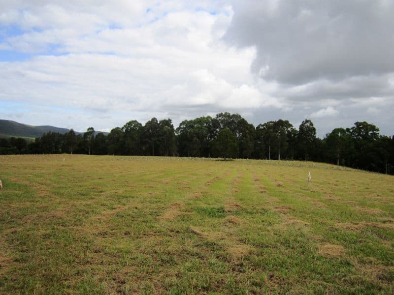 Lot 201 Riverdowns Estate, CLARENCE TOWN NSW 2321, Clarence Town - Thumbnail 8