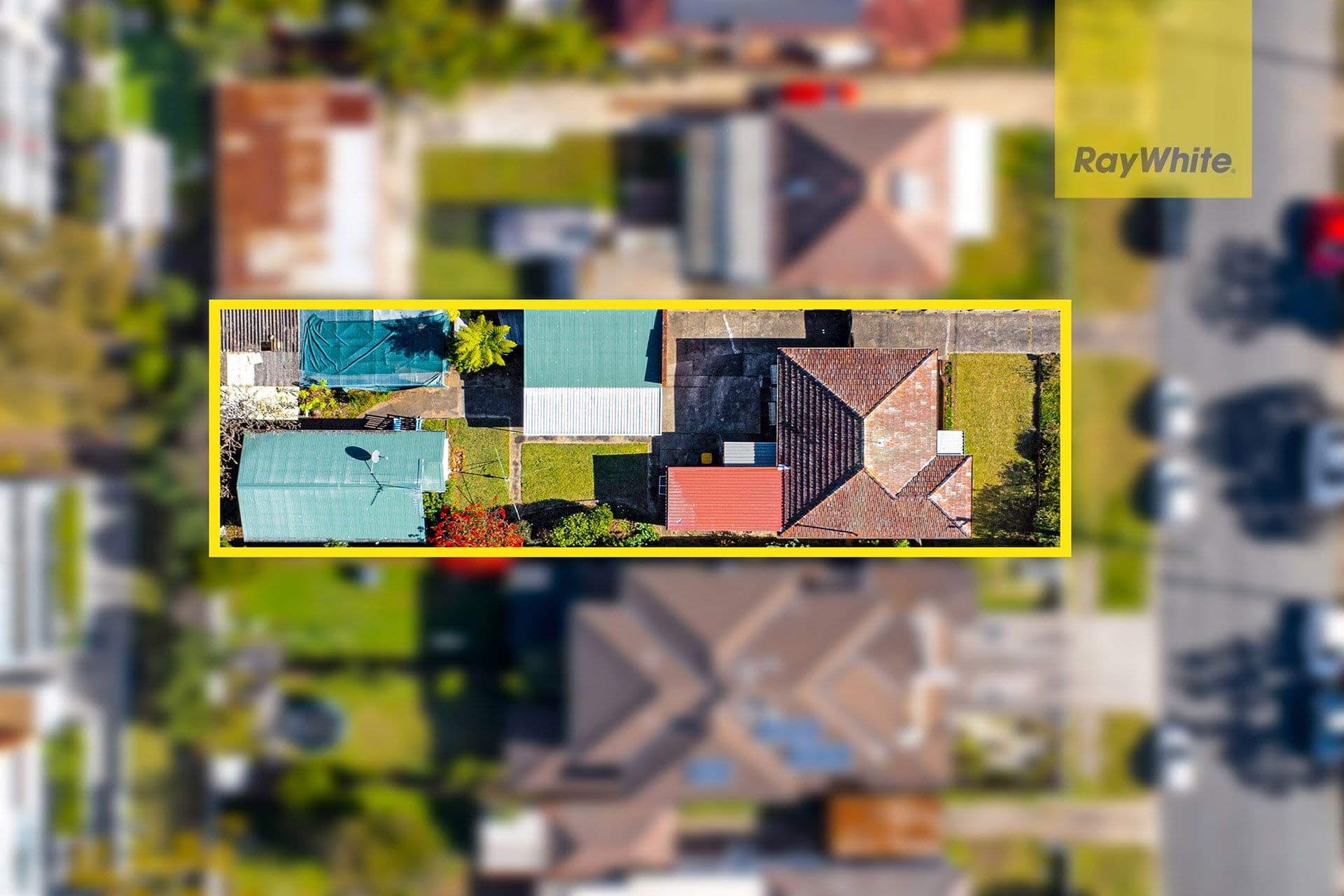 50 Essington Street, Wentworthville NSW 2145, Wentworthville - Thumbnail 2