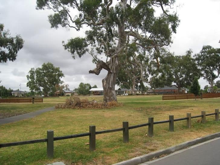 34 Greig Drive, Mernda VIC 3754, Mernda - Thumbnail 8