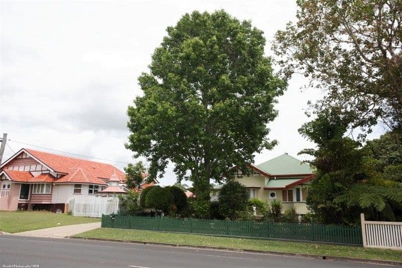 294 Lennox Street, MARYBOROUGH QLD 4650, Maryborough - Thumbnail 3