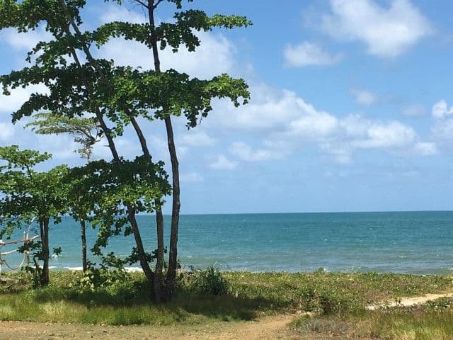 127 Reid Road, Wongaling Beach QLD 4852, Wongaling Beach - Thumbnail 7