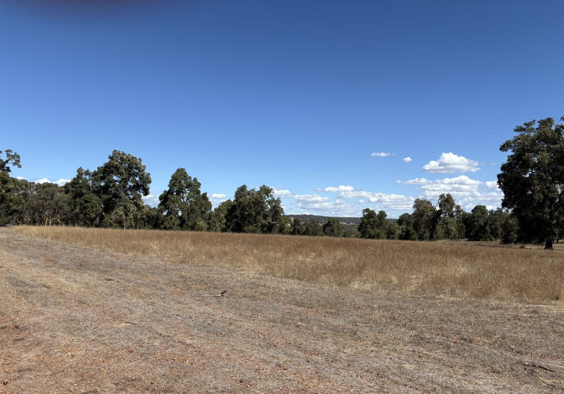 Lot 26 Endeavour Estate - Bindoon, Bindoon, WA, 6502, Bindoon - Thumbnail 8