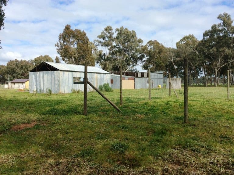 657 Boorhaman East Road, Rutherglen VIC 3685, Rutherglen - Thumbnail 3