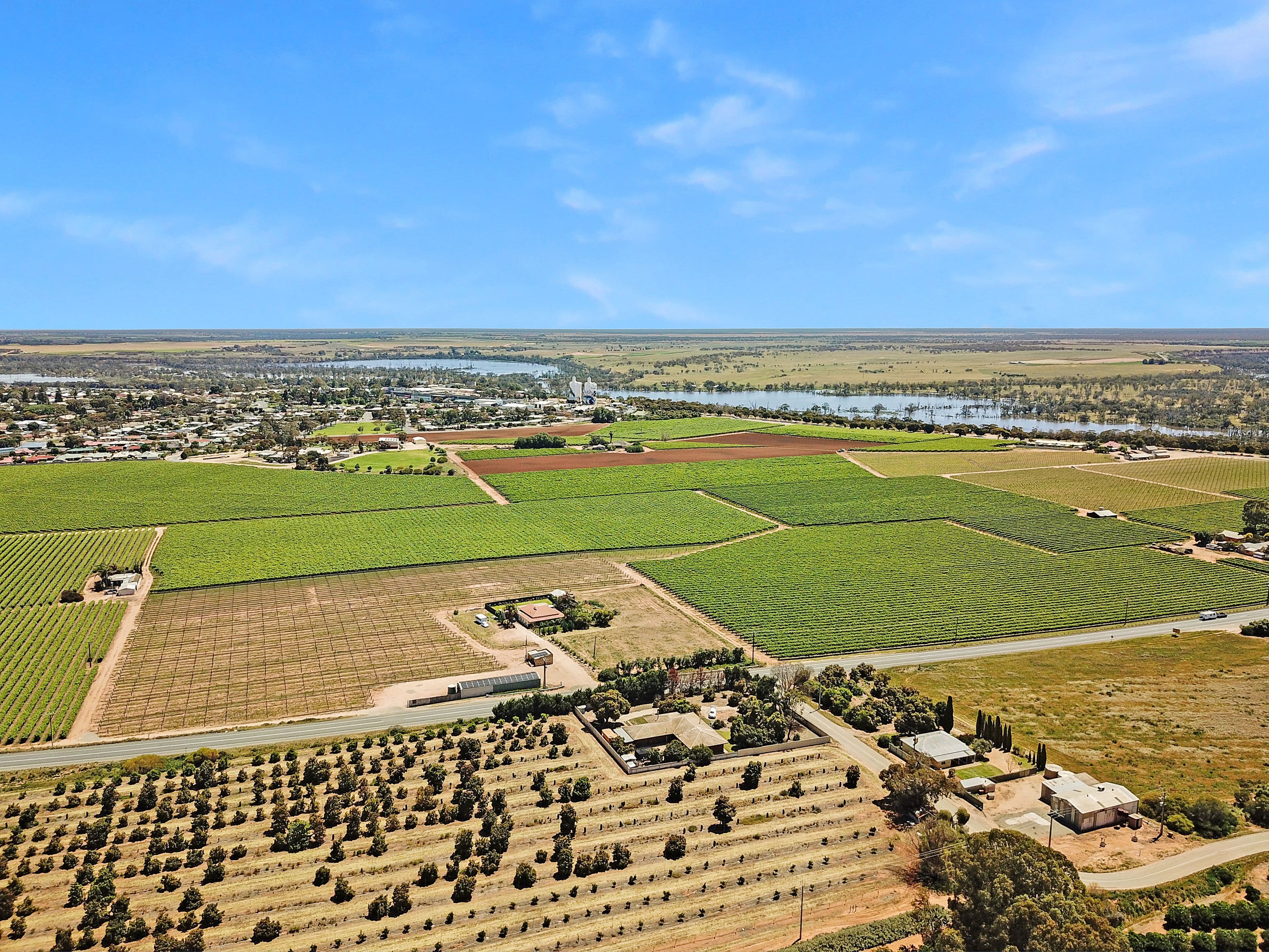 4 Benlow Road, Waikerie SA 5330, Waikerie - Thumbnail 3