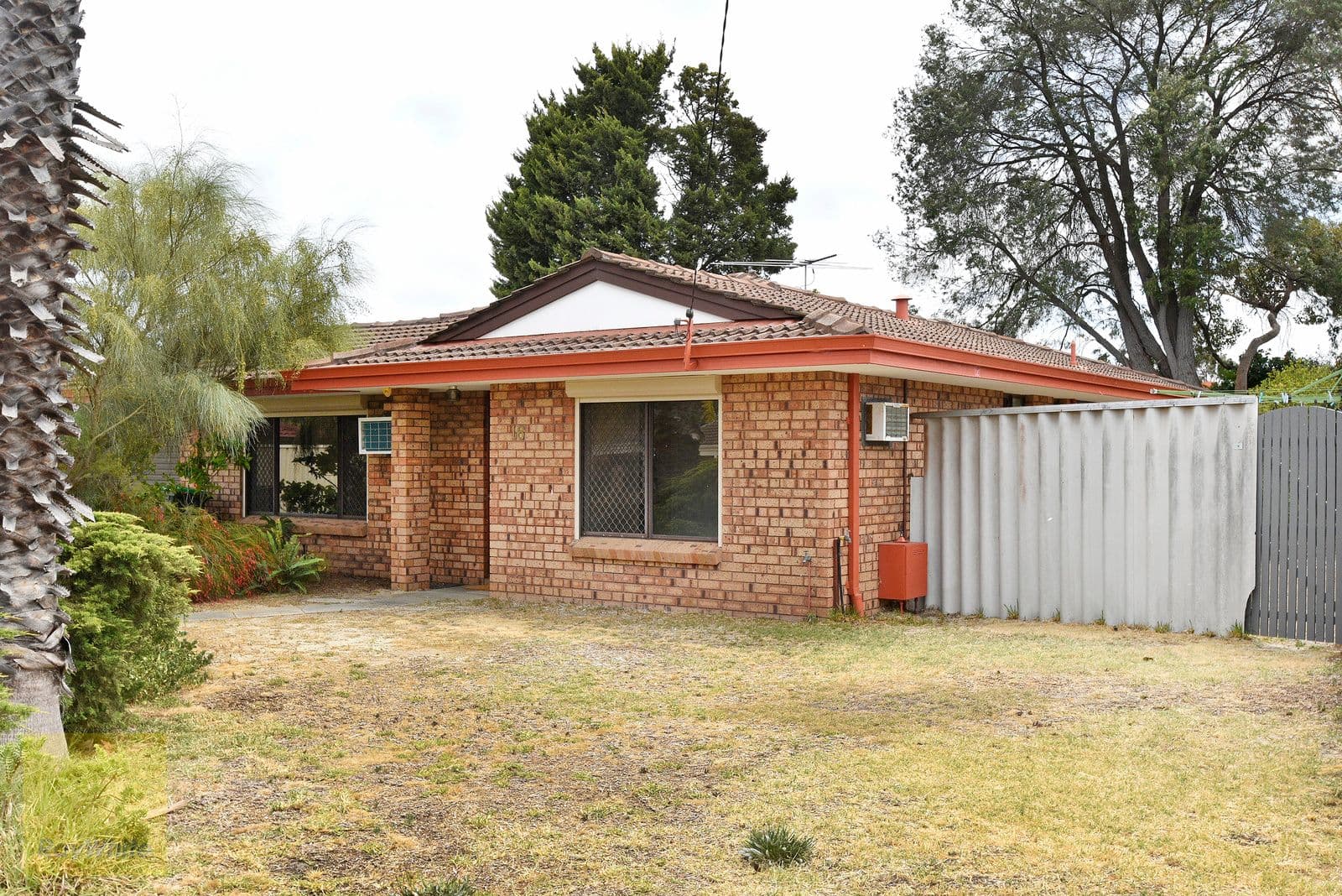 16 Mottlecah Way, Mirrabooka WA 6061, Mirrabooka - Thumbnail 3