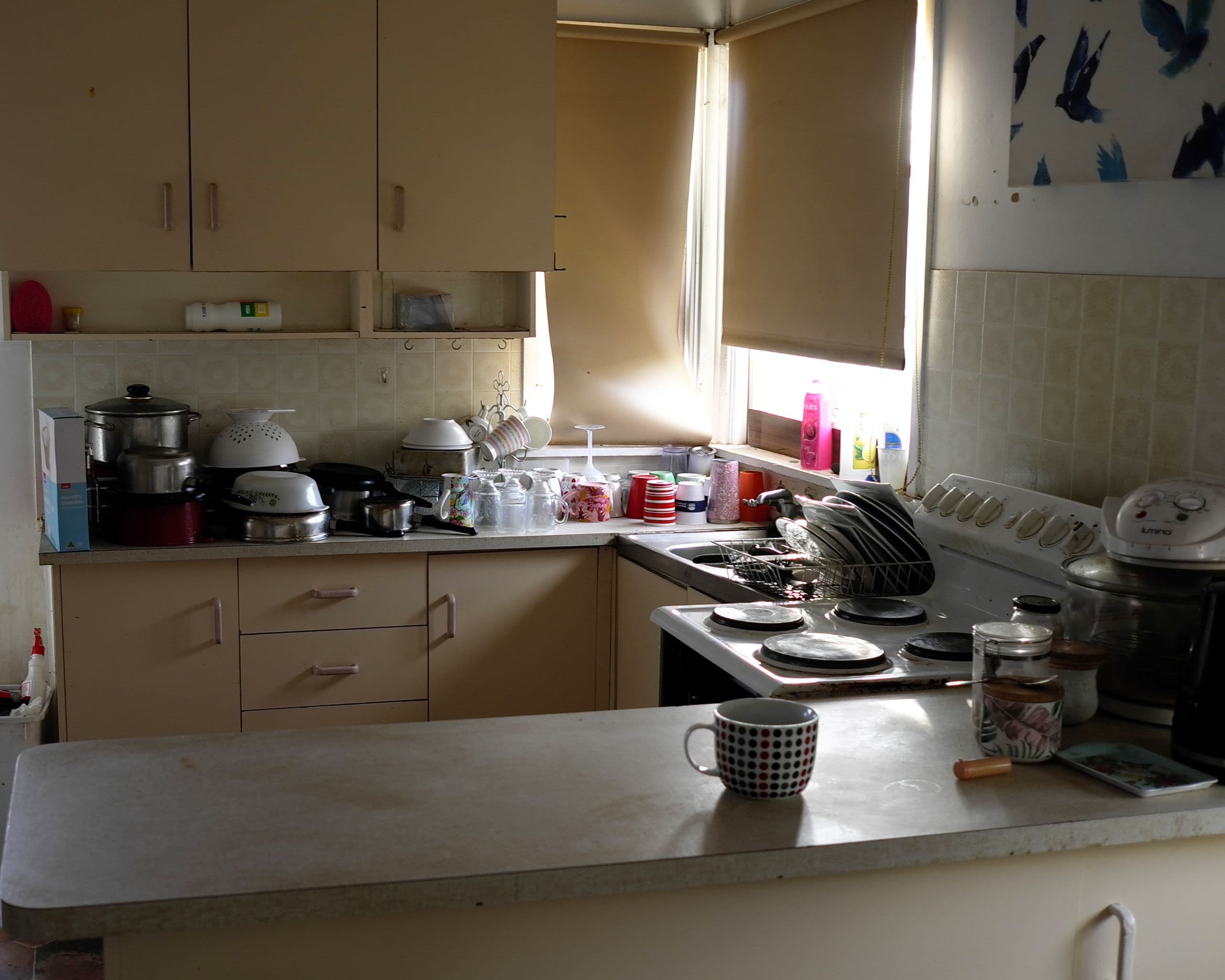 117 Bourbon Road, Cranbourne East - Thumbnail 2