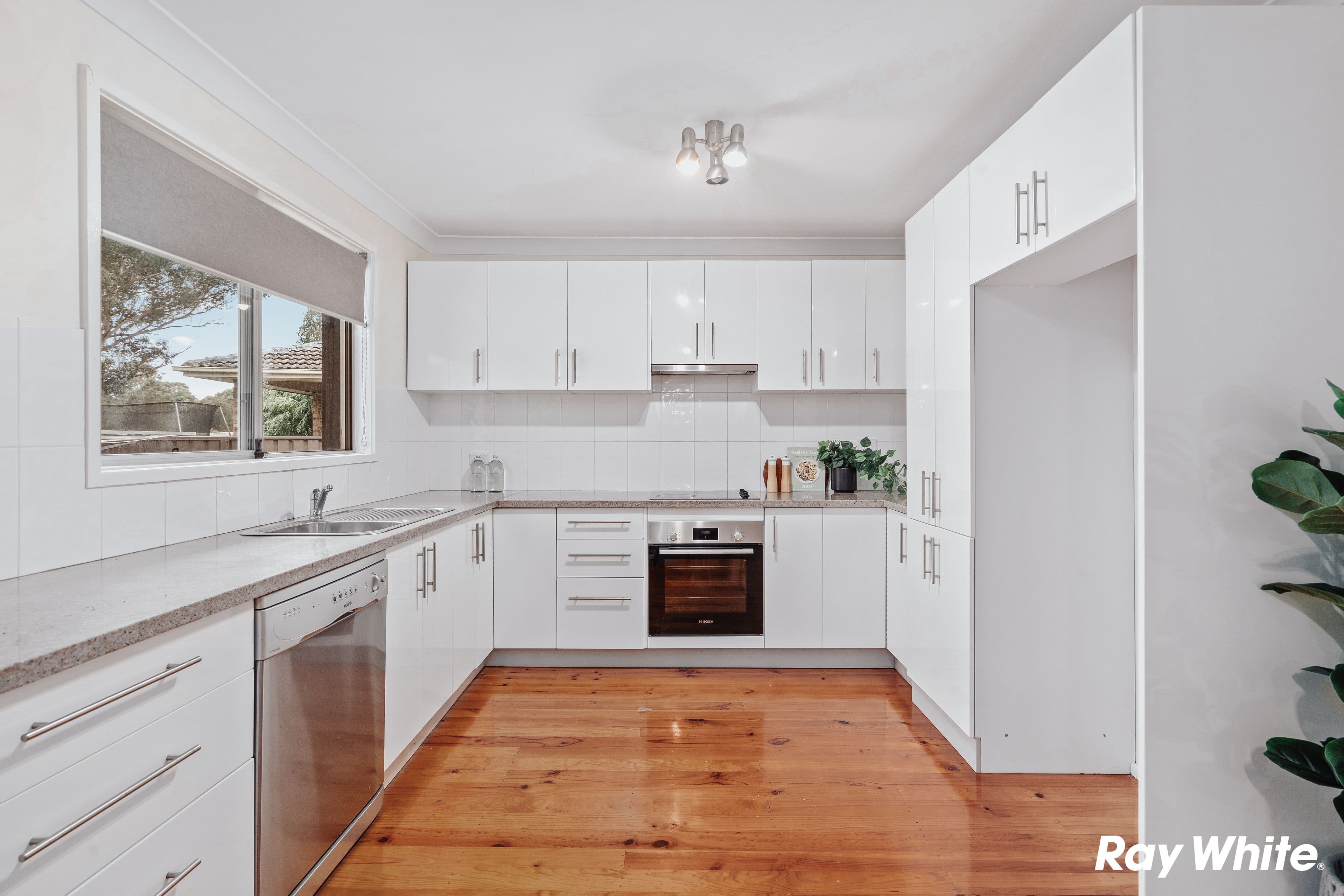 11 Caper Place, Quakers Hill NSW 2763, Quakers Hill - Thumbnail 4