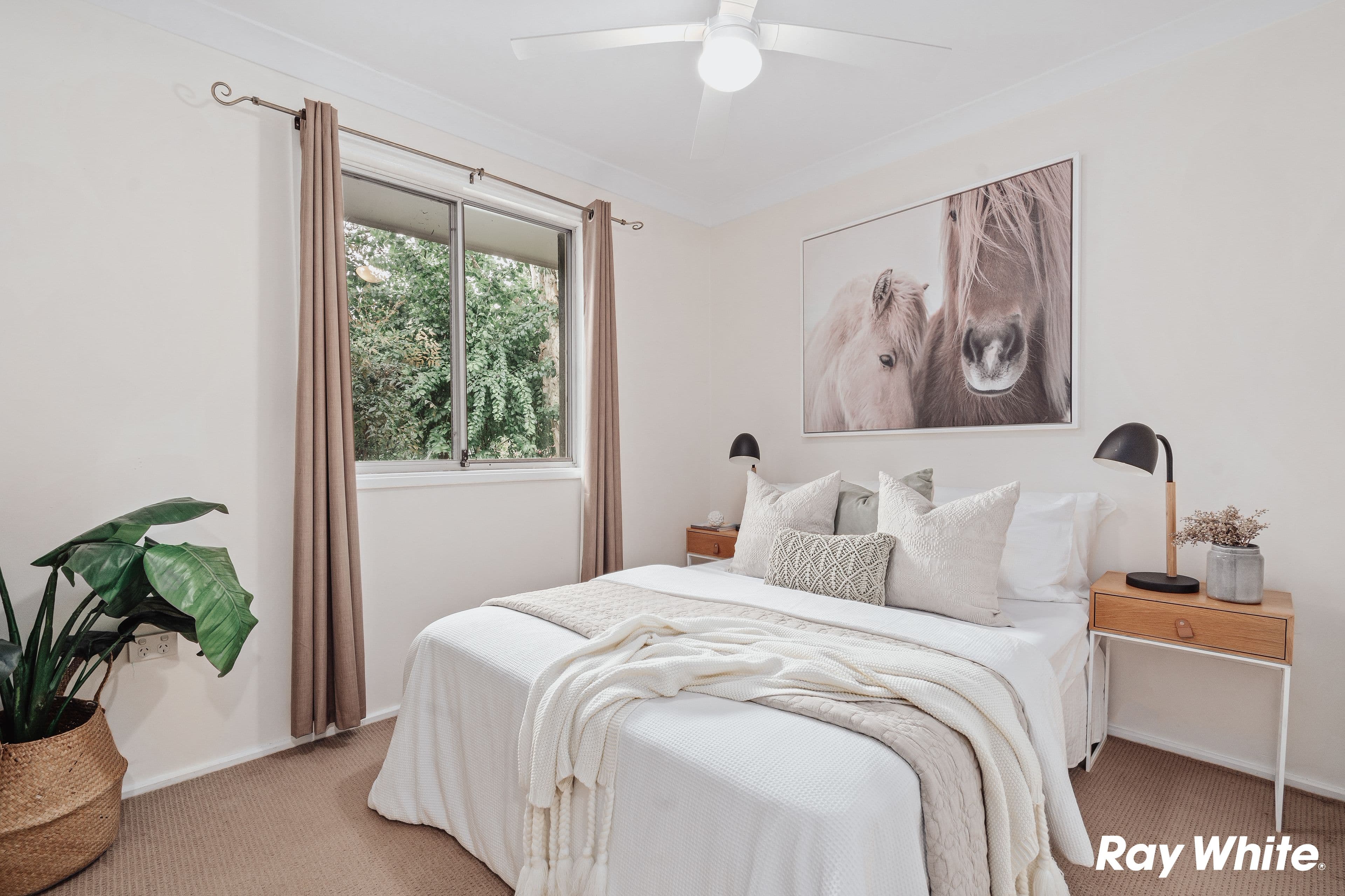 11 Caper Place, Quakers Hill NSW 2763, Quakers Hill - Thumbnail 6