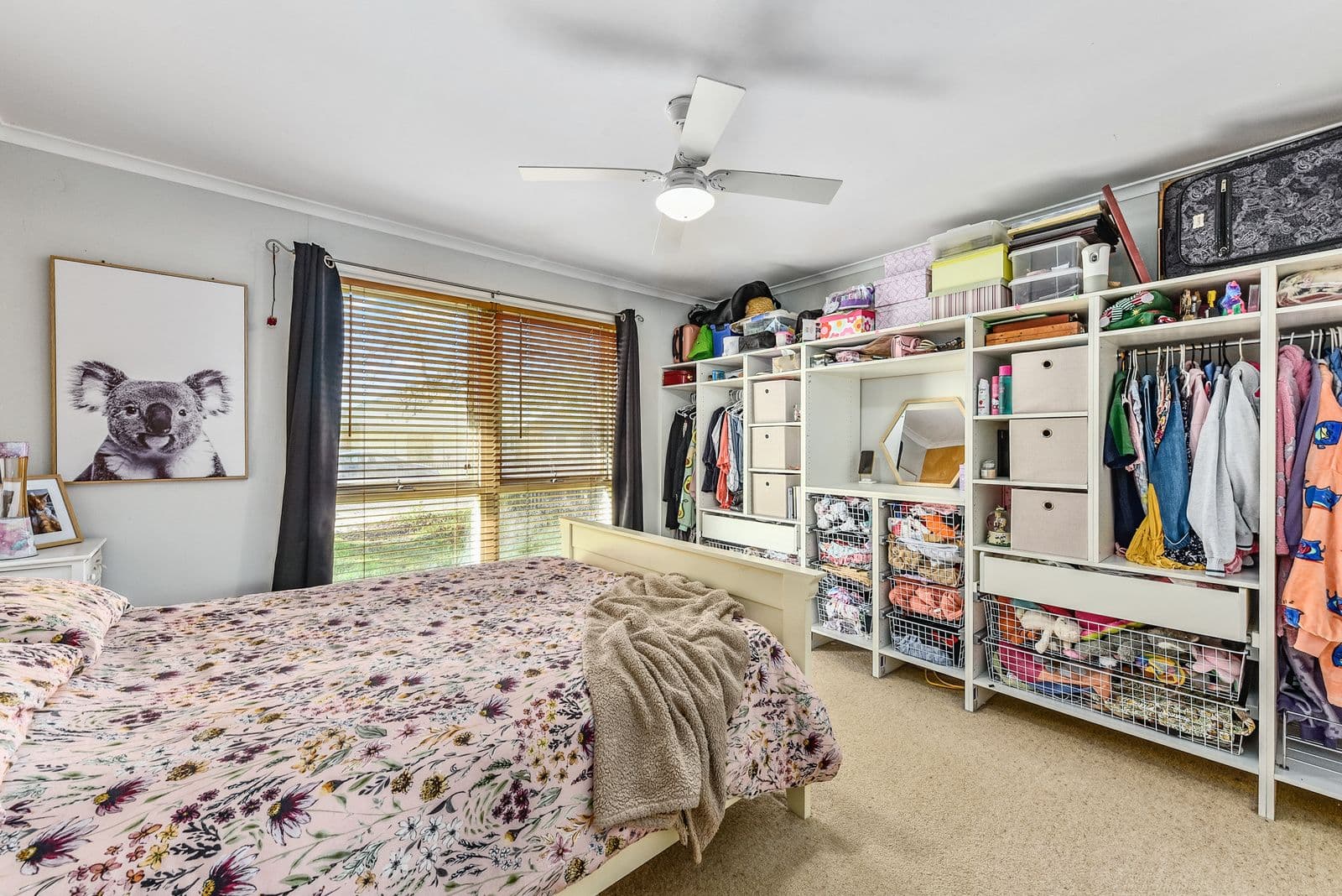 6 Shanks Street, Penola SA 5277, Penola - Thumbnail 7