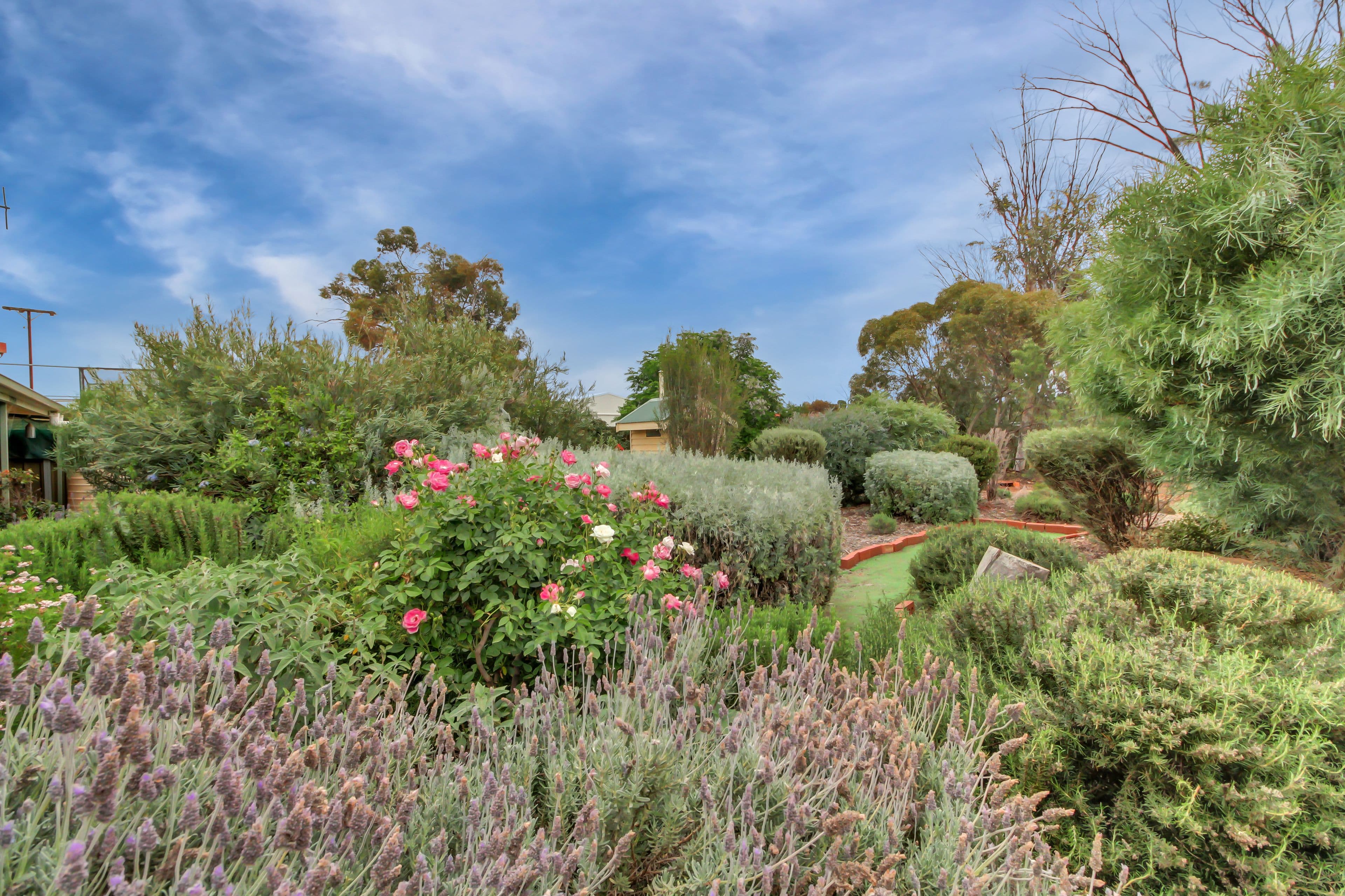 226 Renmark Avenue, Renmark SA 5341, Renmark - Thumbnail 4