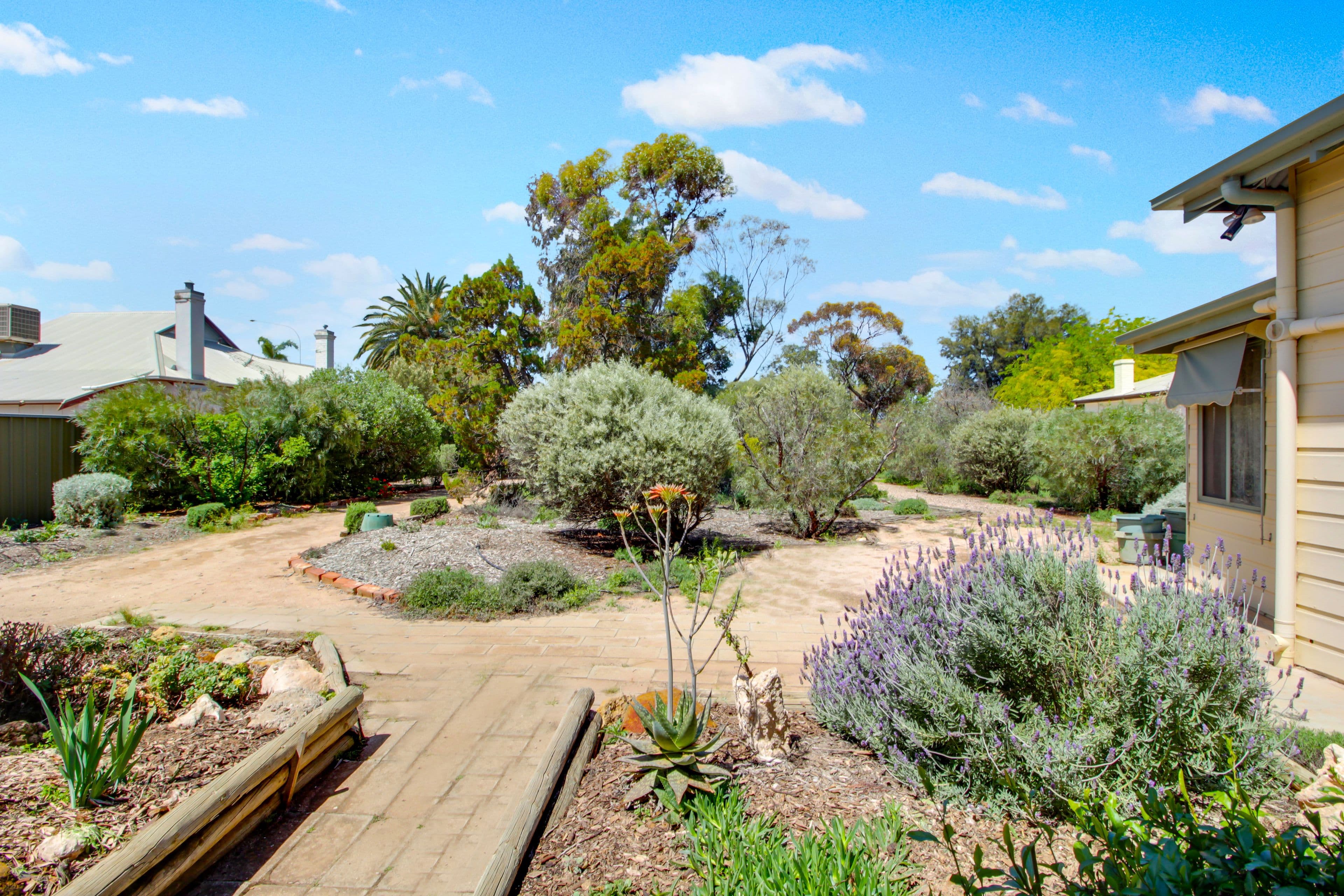 226 Renmark Avenue, Renmark SA 5341, Renmark - Thumbnail 5