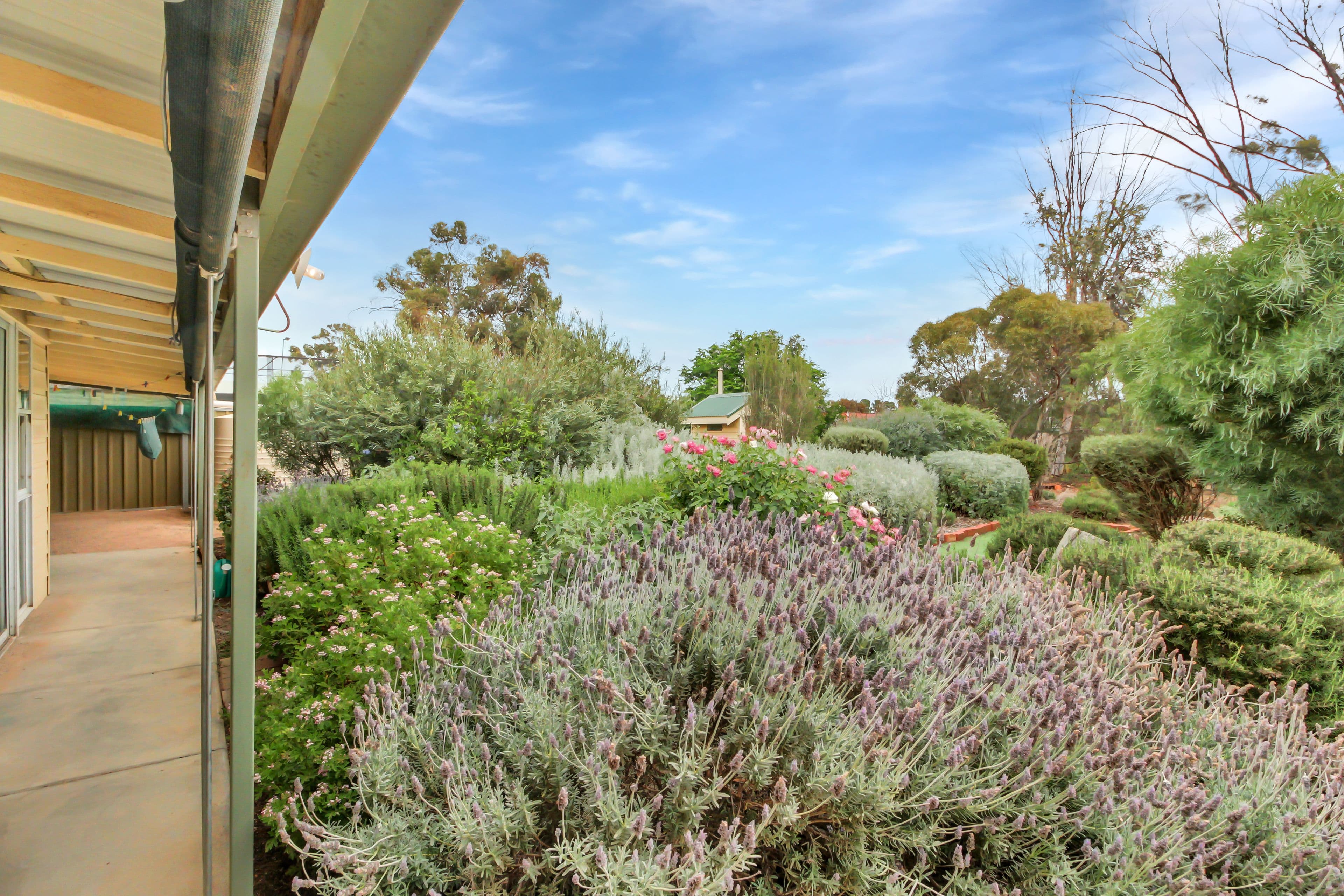 226 Renmark Avenue, Renmark SA 5341, Renmark - Thumbnail 6