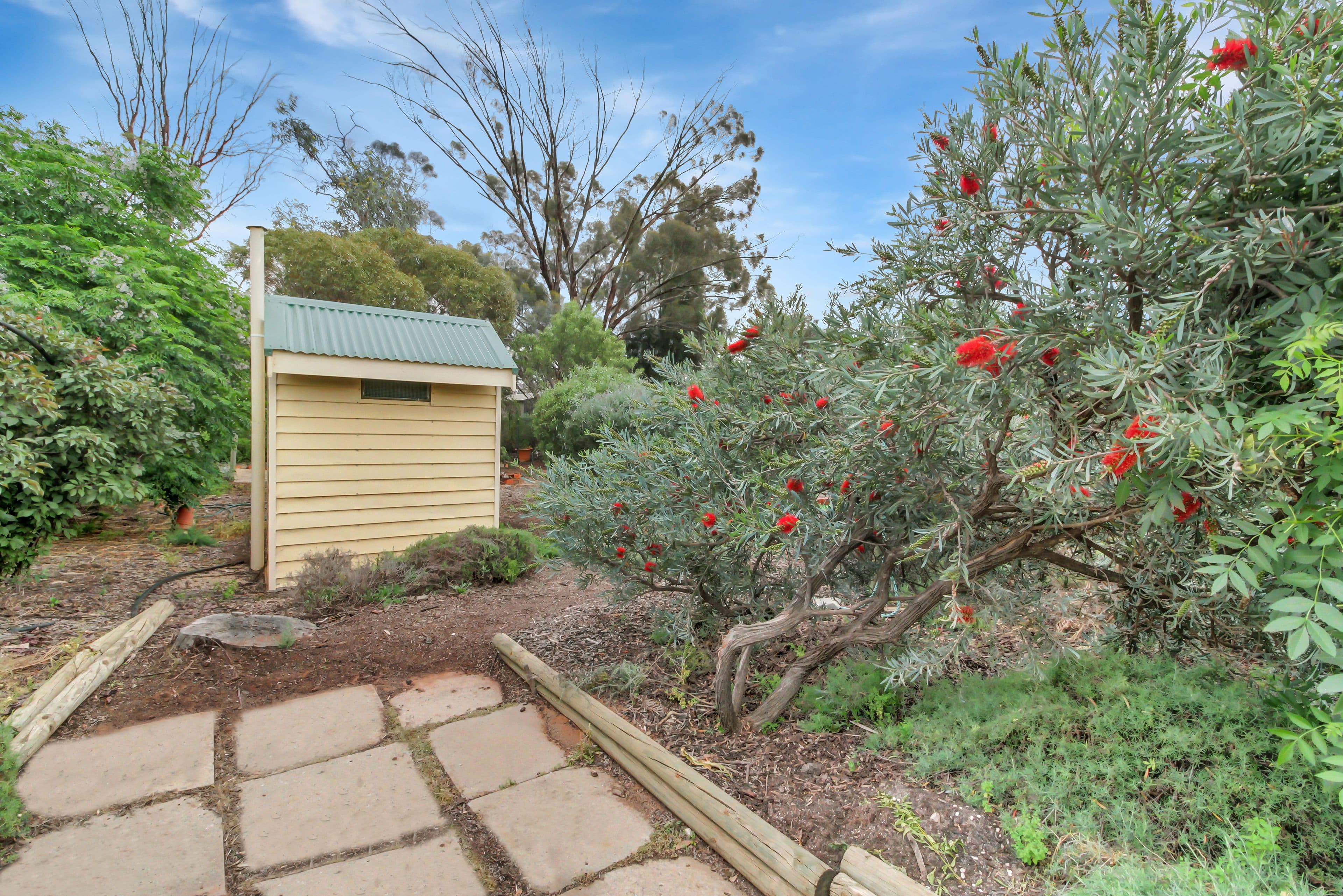 226 Renmark Avenue, Renmark SA 5341, Renmark - Thumbnail 7