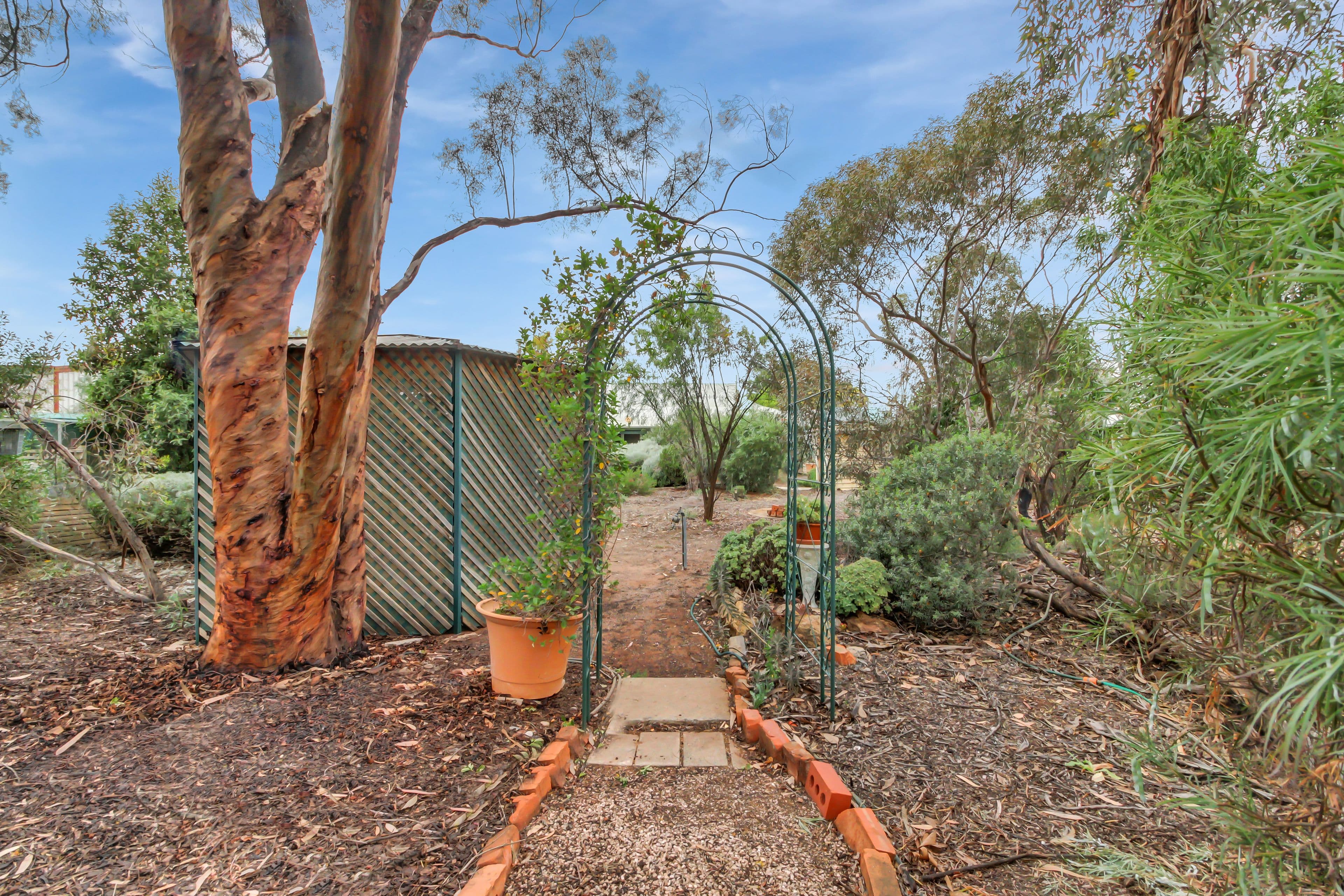 226 Renmark Avenue, Renmark SA 5341, Renmark - Thumbnail 8