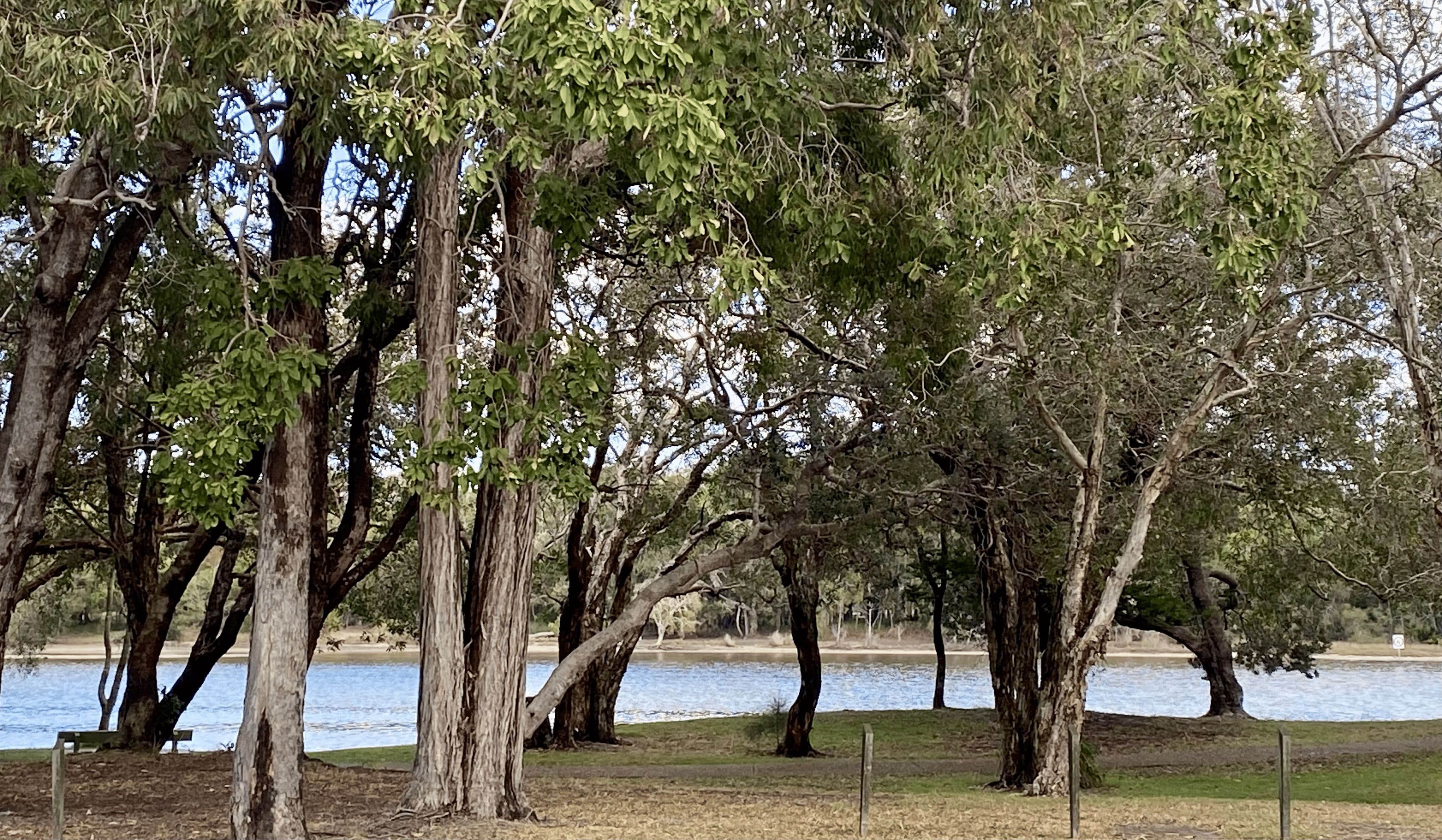 11 Coongarra Esplanade, Wurtulla QLD 4575, Wurtulla - Thumbnail 4