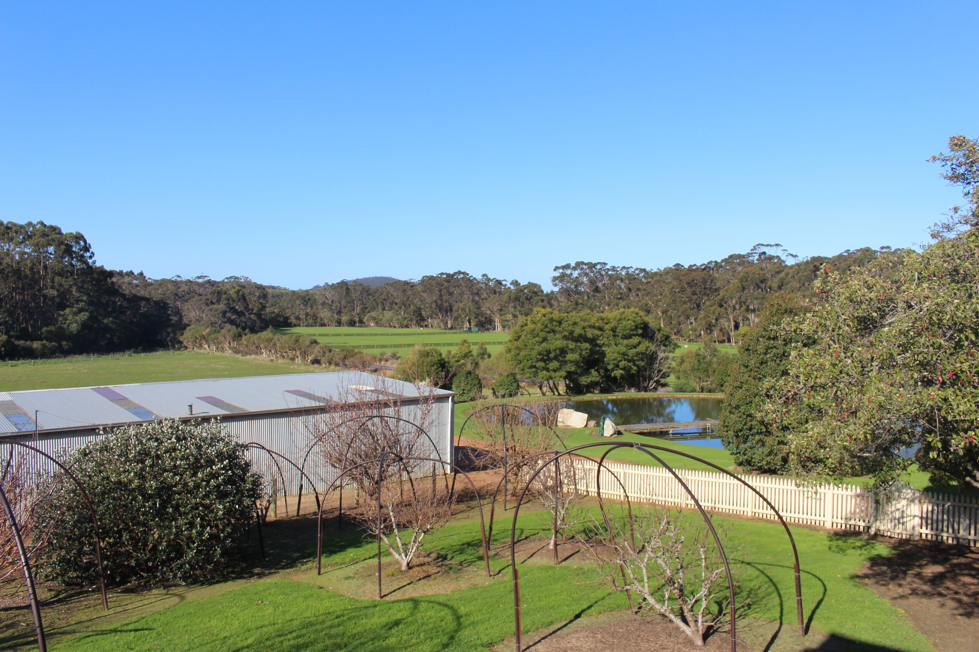 24 Garlirri Crescent, BAYNTON WA 6714, Baynton - Thumbnail 8