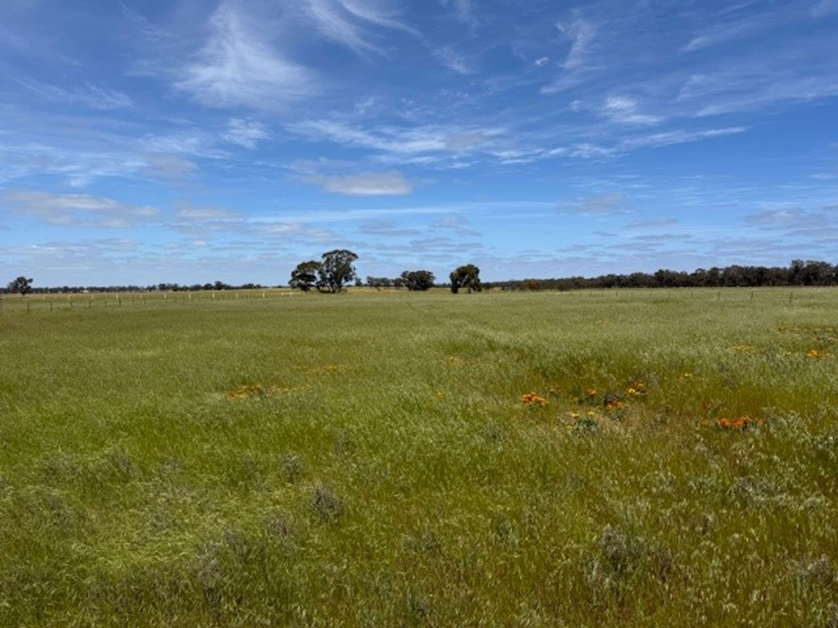 CA 2 Sec 9 CA 2 Sec 9 Bailie road, Inglewood, Ellalong - Thumbnail 3