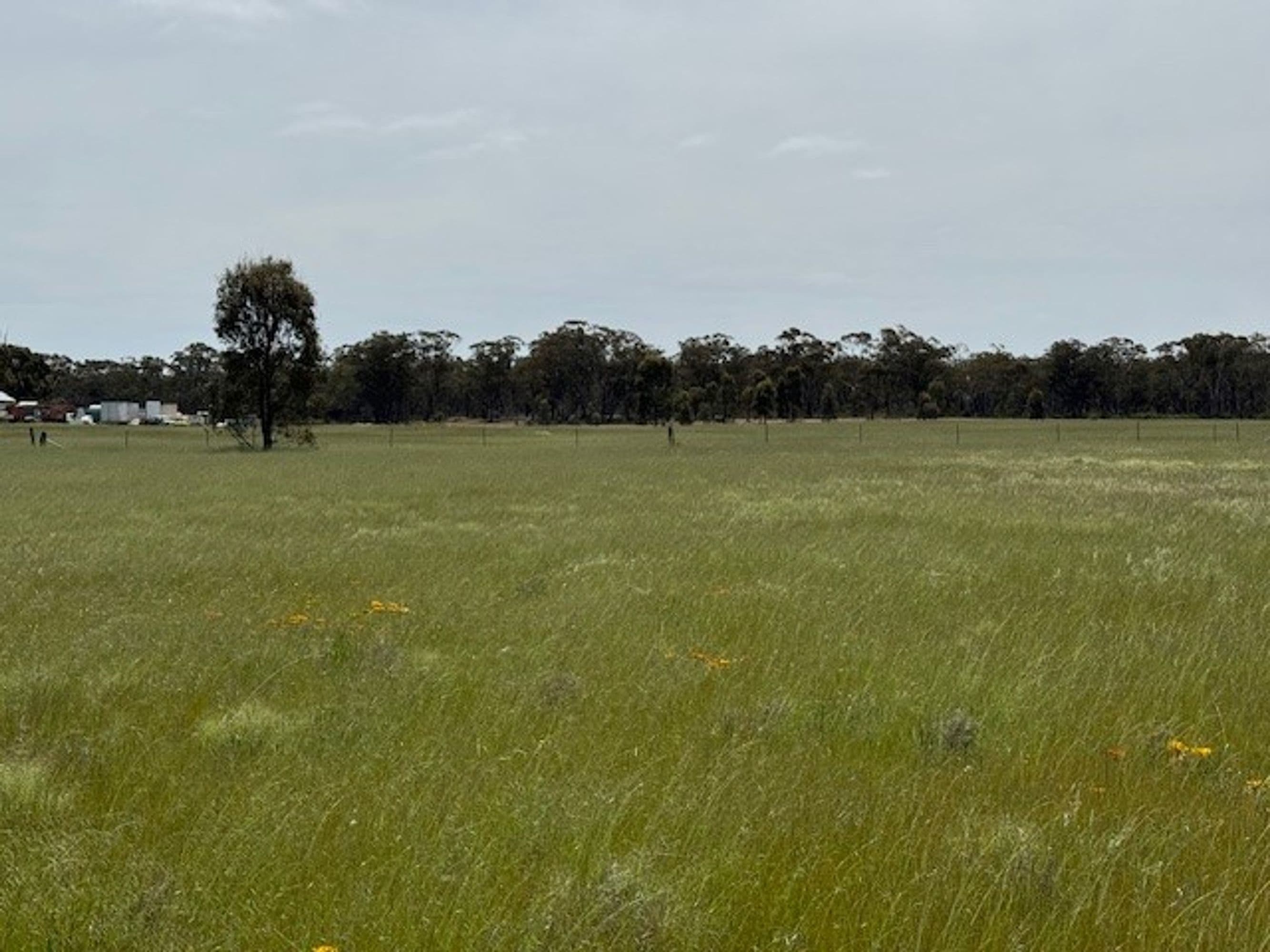 CA 2 Sec 9 CA 2 Sec 9 Bailie road, Inglewood, Ellalong - Thumbnail 7