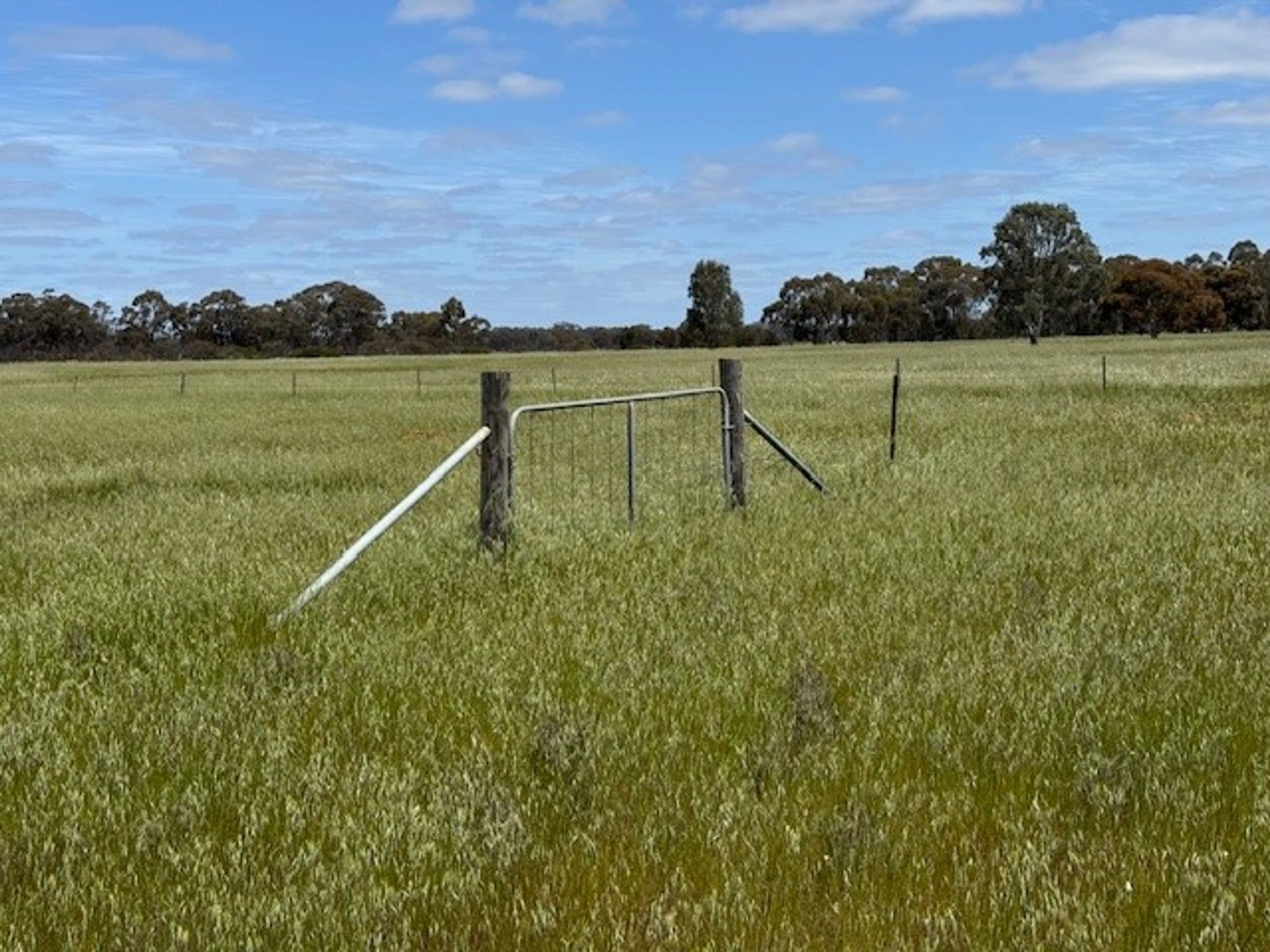 CA 2 Sec 9 CA 2 Sec 9 Bailie road, Inglewood, Ellalong - Thumbnail 8