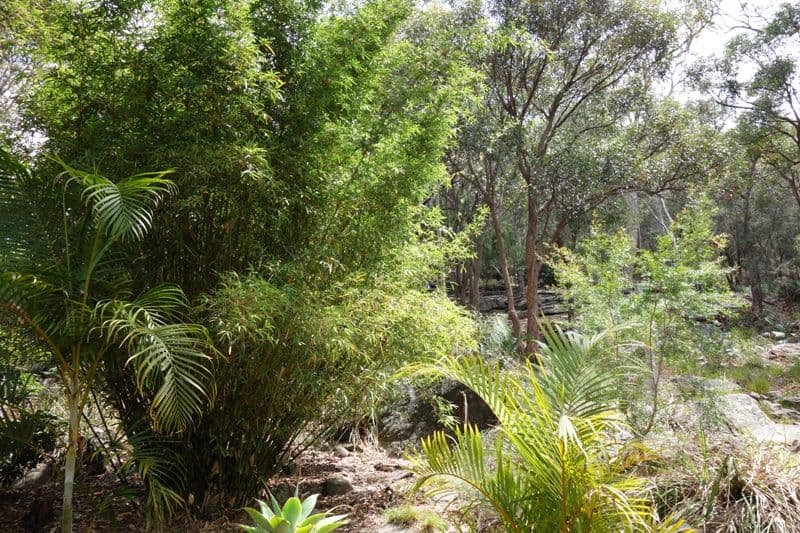 60 Ryans Road, UMINA BEACH NSW 2257, Umina Beach - Thumbnail 4