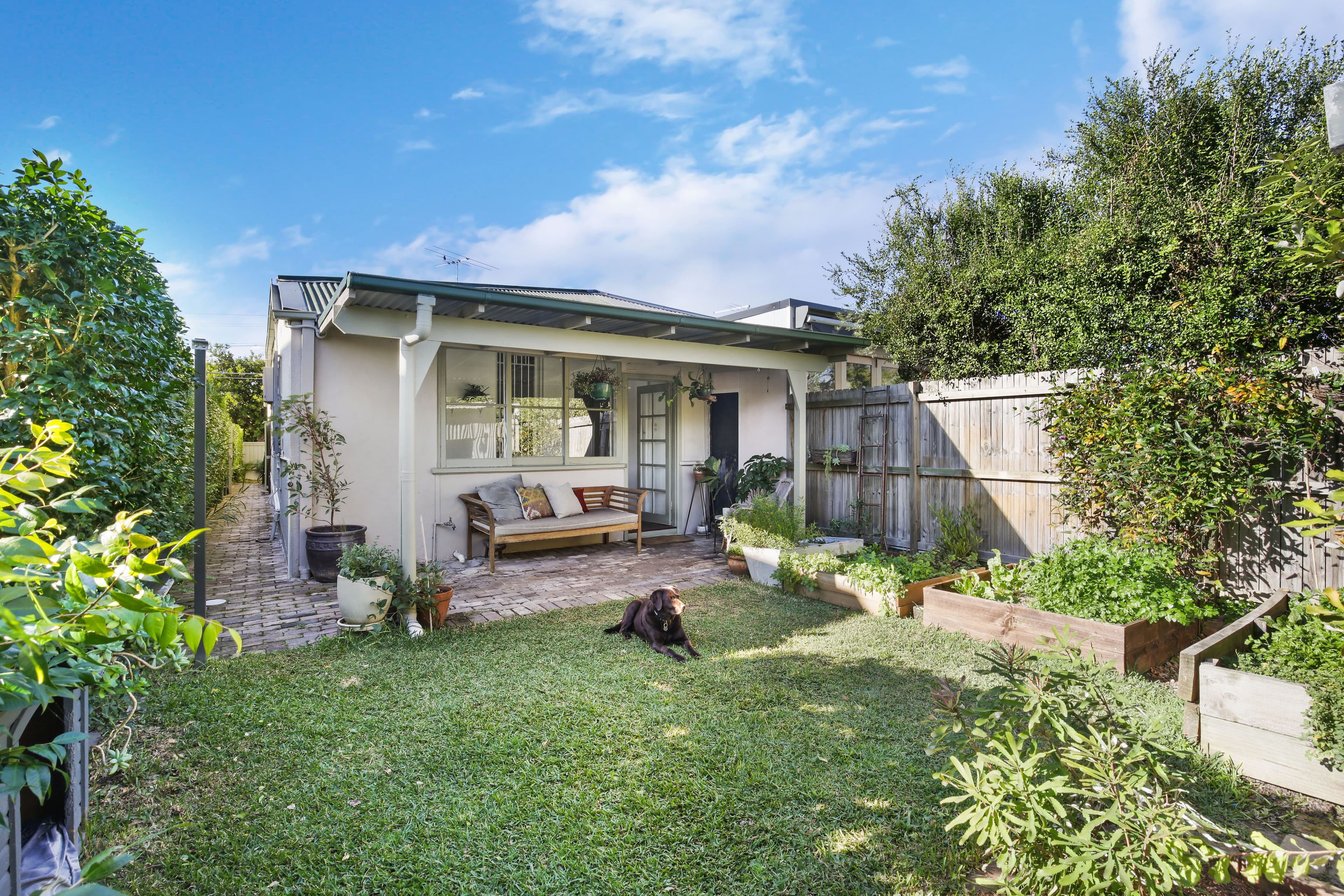 4 Calvert Street, Marrickville - Thumbnail 7