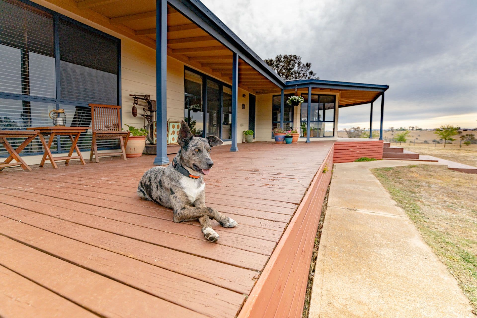 202 Yeumburra Road, Murrumbateman NSW 2582, Murrumbateman - Thumbnail 3
