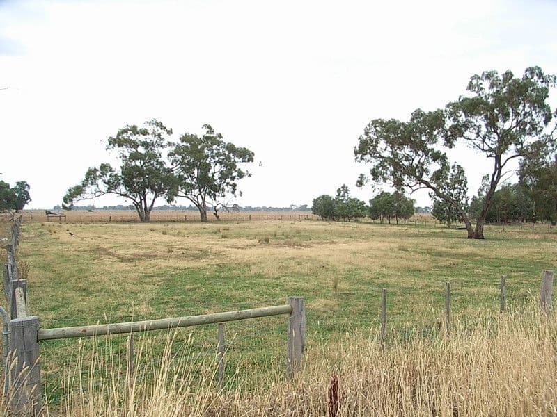 1992 Echuca-Mitiamo Rd, Kotta, ECHUCA VIC 3564, Echuca - Thumbnail 4